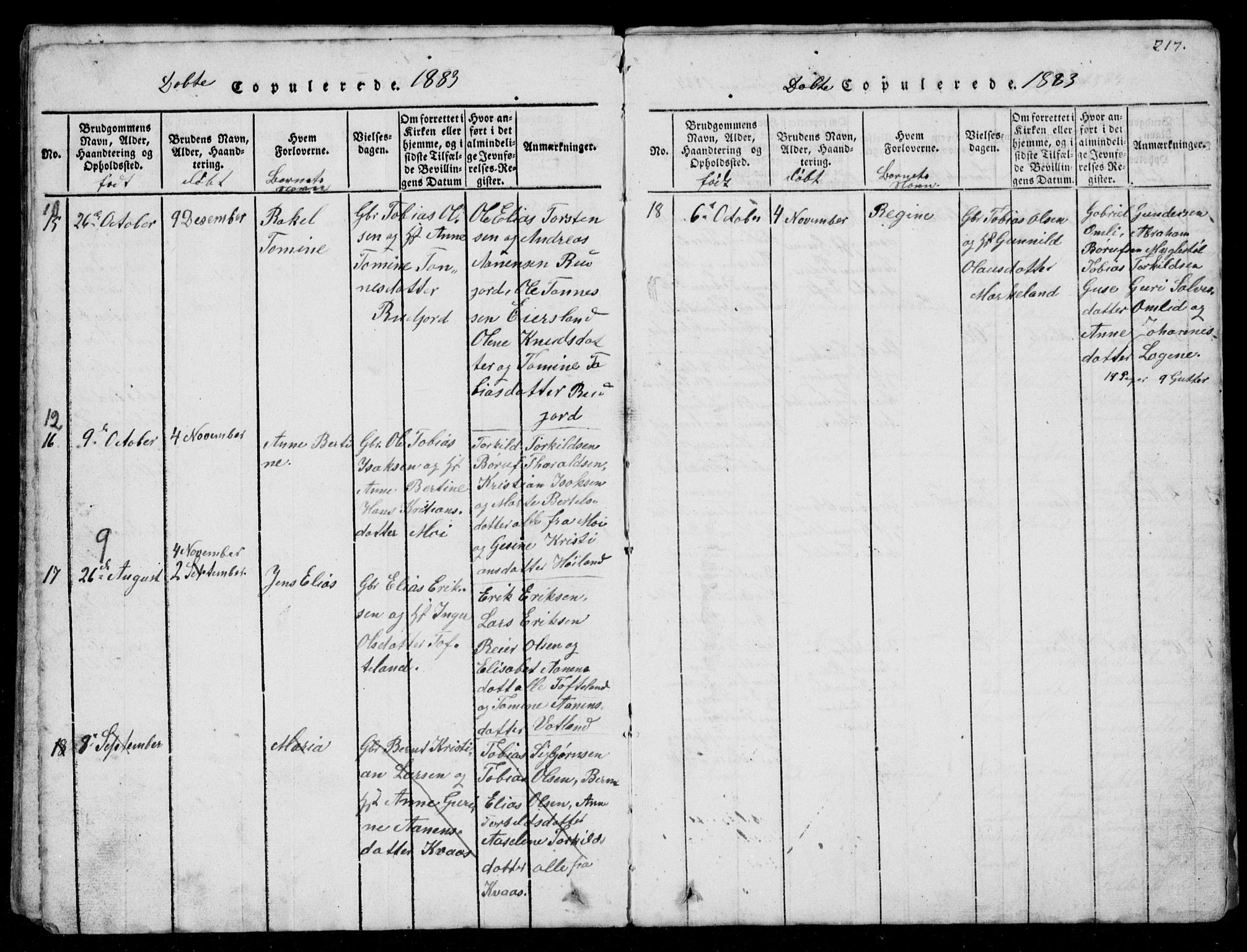 Lyngdal sokneprestkontor, AV/SAK-1111-0029/F/Fb/Fbb/L0001: Parish register (copy) no. B 1, 1816-1900, p. 217