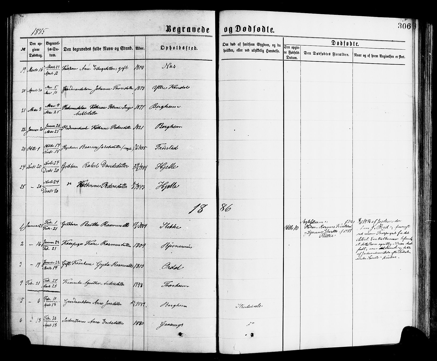 Gloppen sokneprestembete, AV/SAB-A-80101/H/Haa/Haac/L0001: Parish register (official) no. C 1, 1871-1886, p. 306