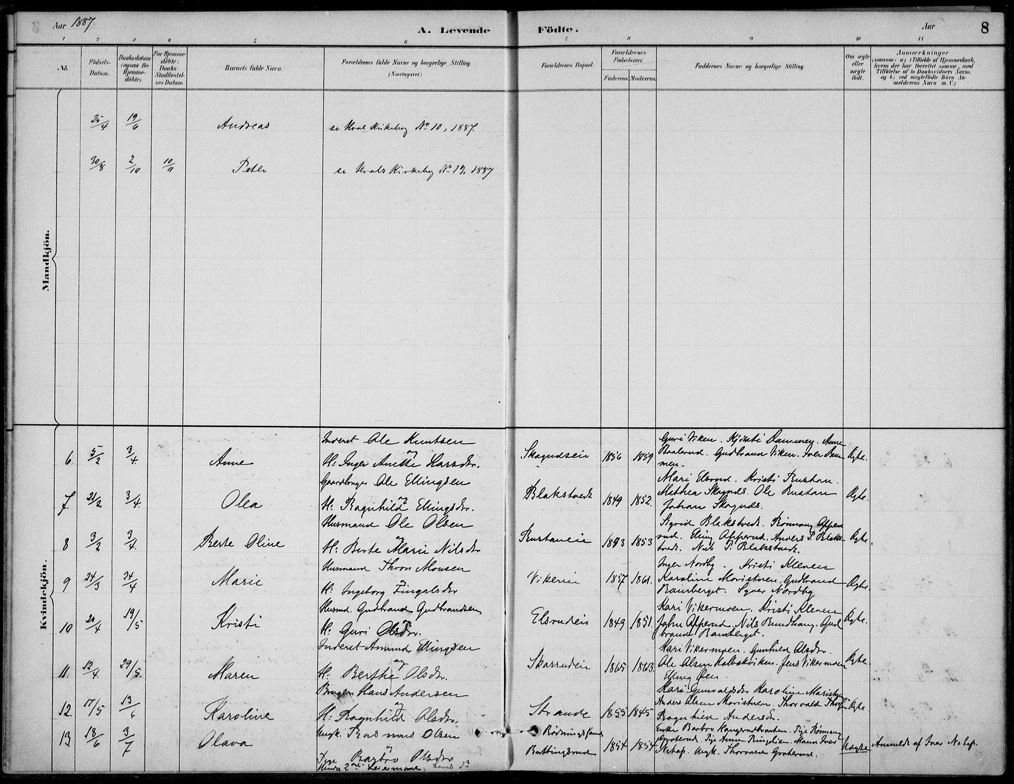 Ådal kirkebøker, AV/SAKO-A-248/F/Fa/L0003: Parish register (official) no. I 3, 1884-1903, p. 8