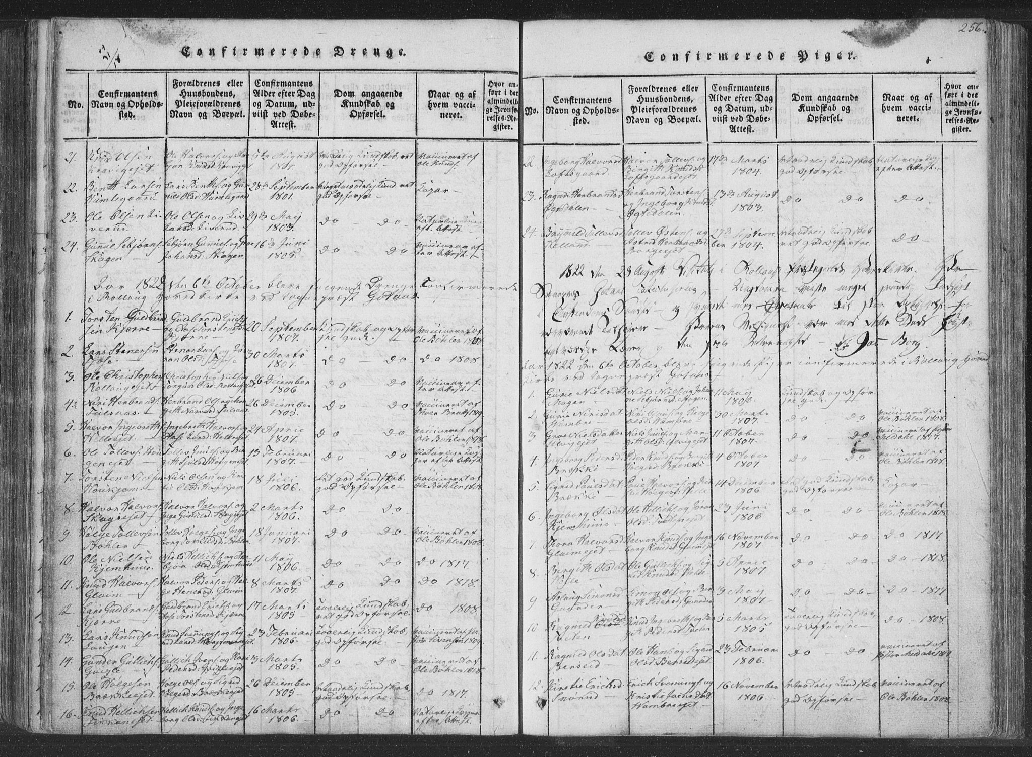 Rollag kirkebøker, AV/SAKO-A-240/F/Fa/L0006: Parish register (official) no. I 6, 1814-1828, p. 256