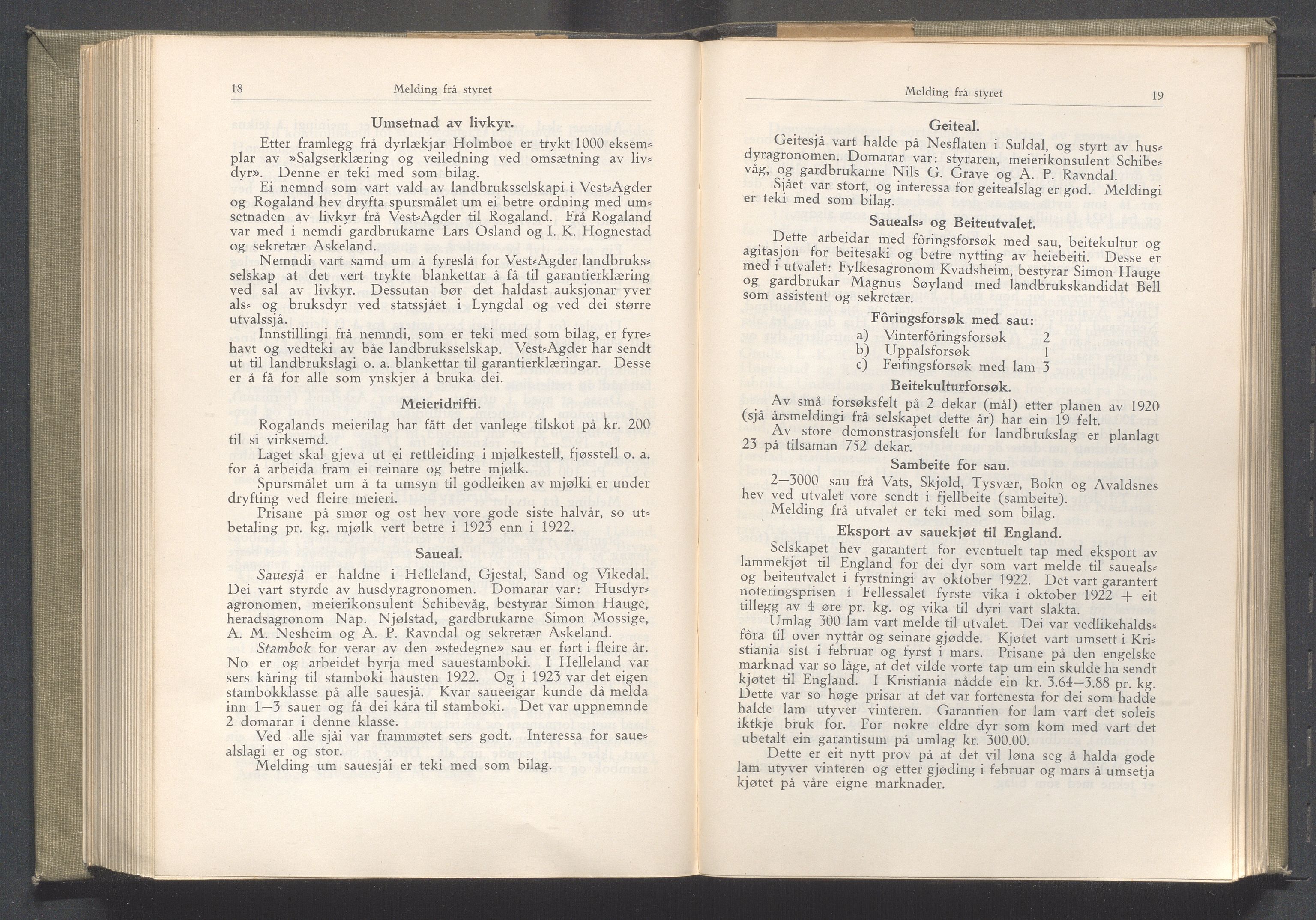 Rogaland fylkeskommune - Fylkesrådmannen , IKAR/A-900/A/Aa/Aaa/L0043: Møtebok , 1924, p. 18-19