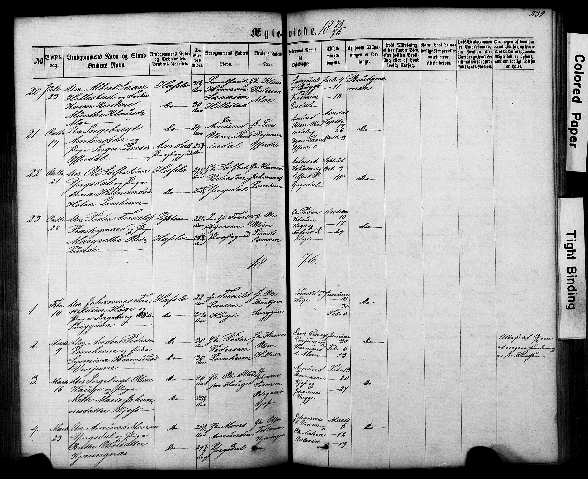 Hafslo sokneprestembete, AV/SAB-A-80301/H/Hab/Haba/L0001: Parish register (copy) no. A 1, 1866-1908, p. 239