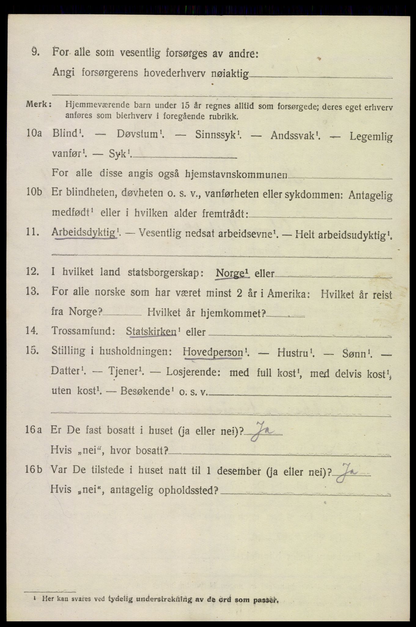 SAK, 1920 census for Hornnes, 1920, p. 2864