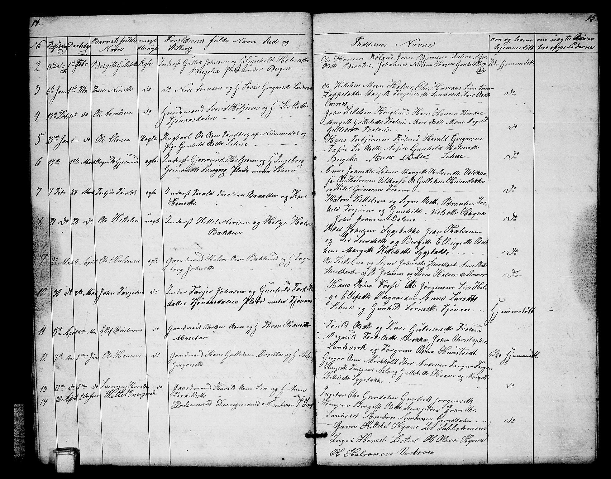 Hjartdal kirkebøker, SAKO/A-270/G/Gb/L0002: Parish register (copy) no. II 2, 1854-1884, p. 14-15
