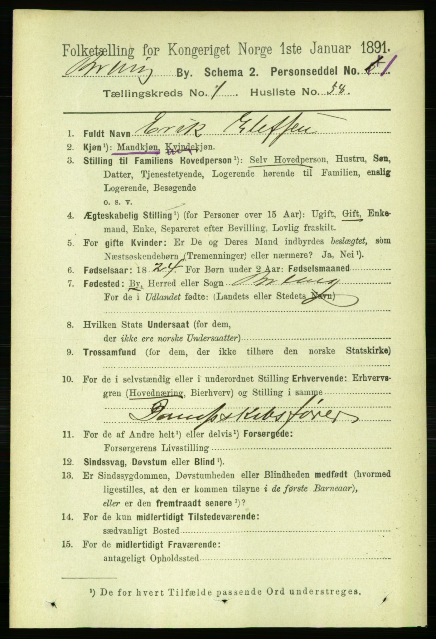 RA, 1891 census for 0804 Brevik, 1891, p. 1185