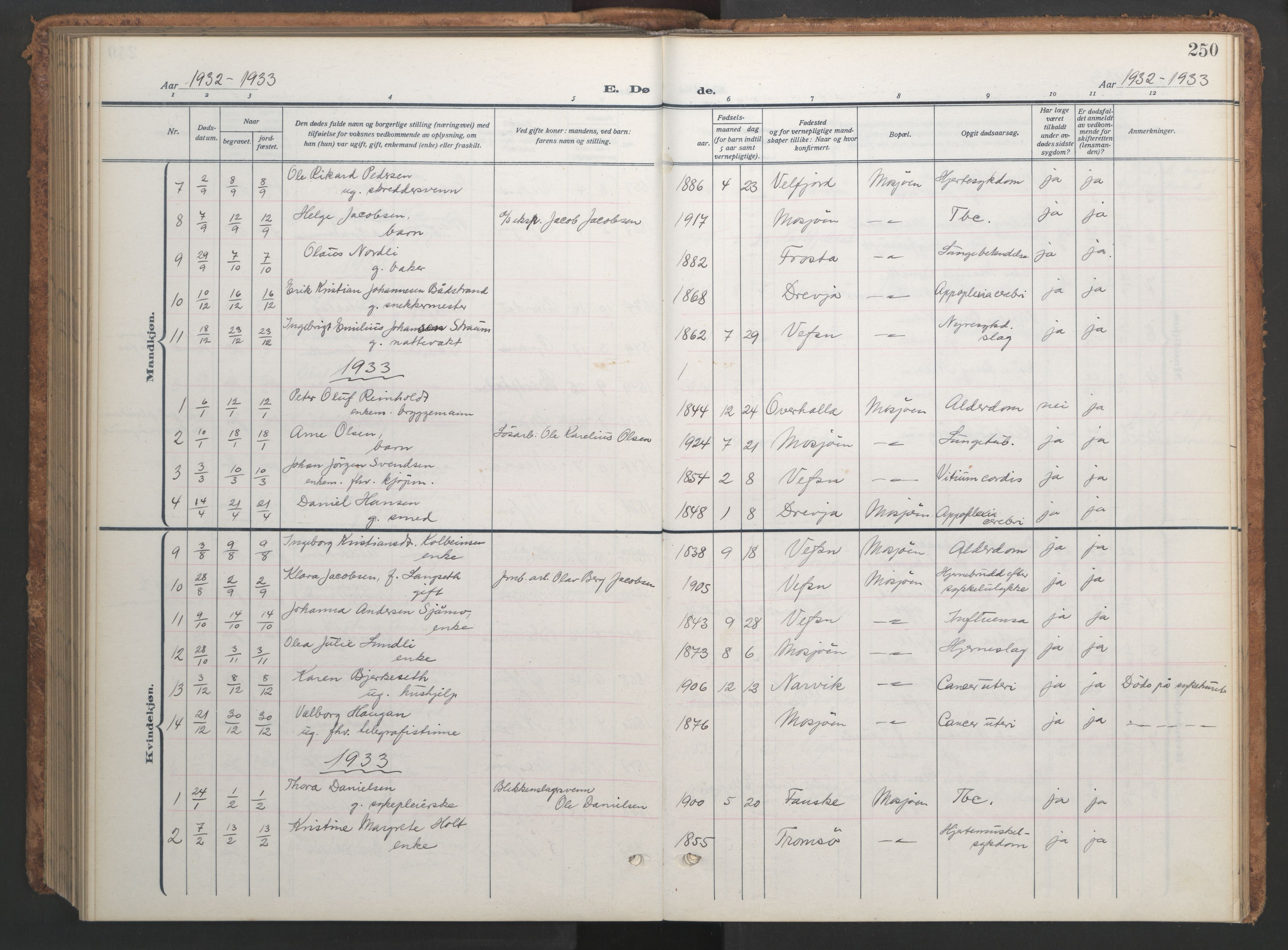 Ministerialprotokoller, klokkerbøker og fødselsregistre - Nordland, AV/SAT-A-1459/820/L0303: Parish register (copy) no. 820C05, 1917-1952, p. 250