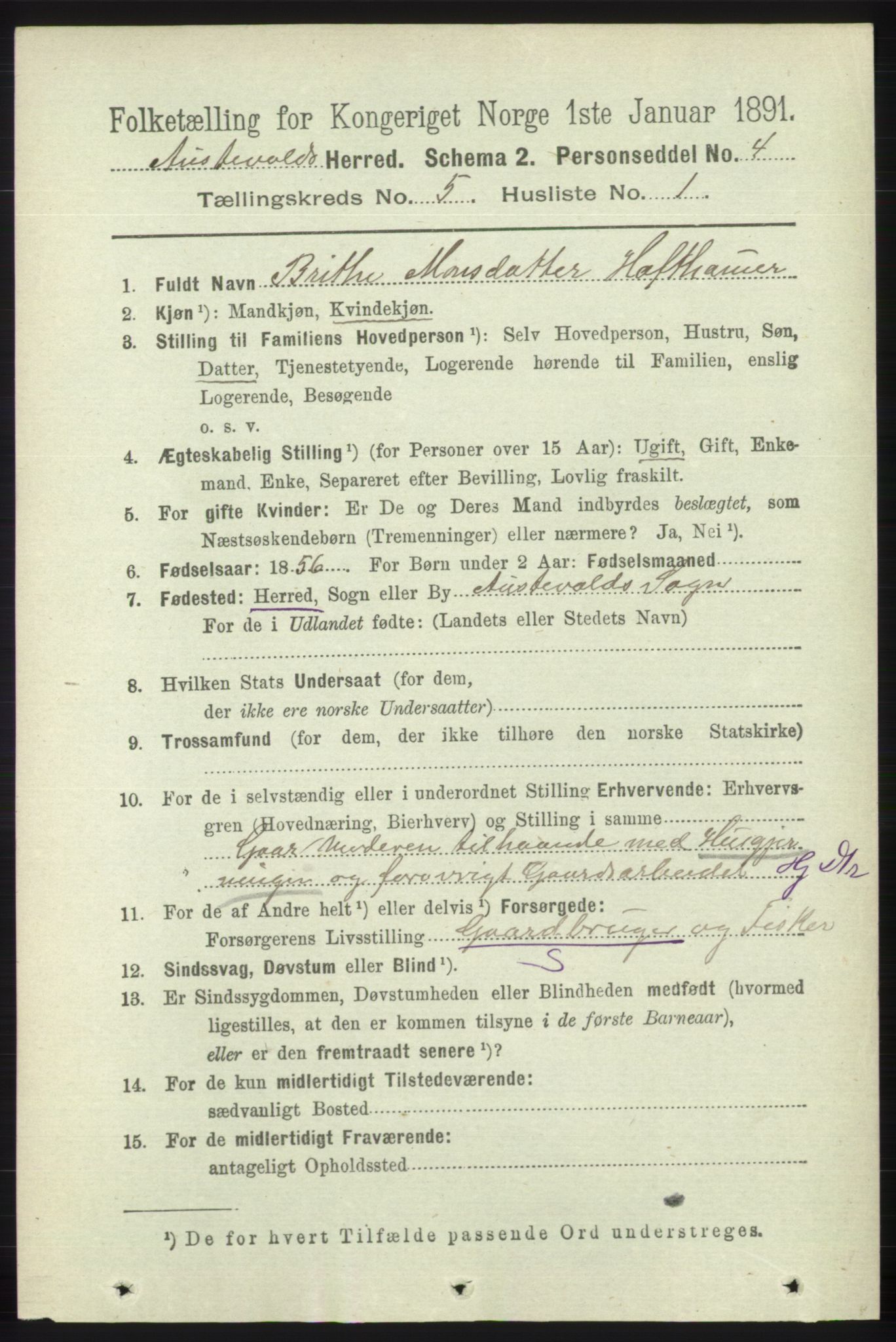 RA, 1891 census for 1244 Austevoll, 1891, p. 2007