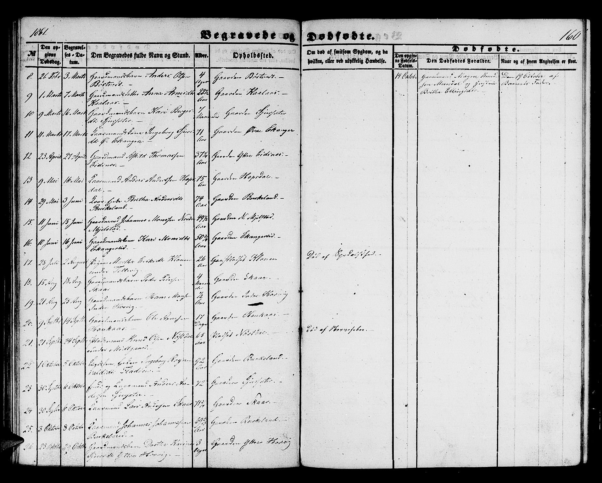 Hamre sokneprestembete, AV/SAB-A-75501/H/Ha/Hab: Parish register (copy) no. B 1, 1852-1863, p. 160