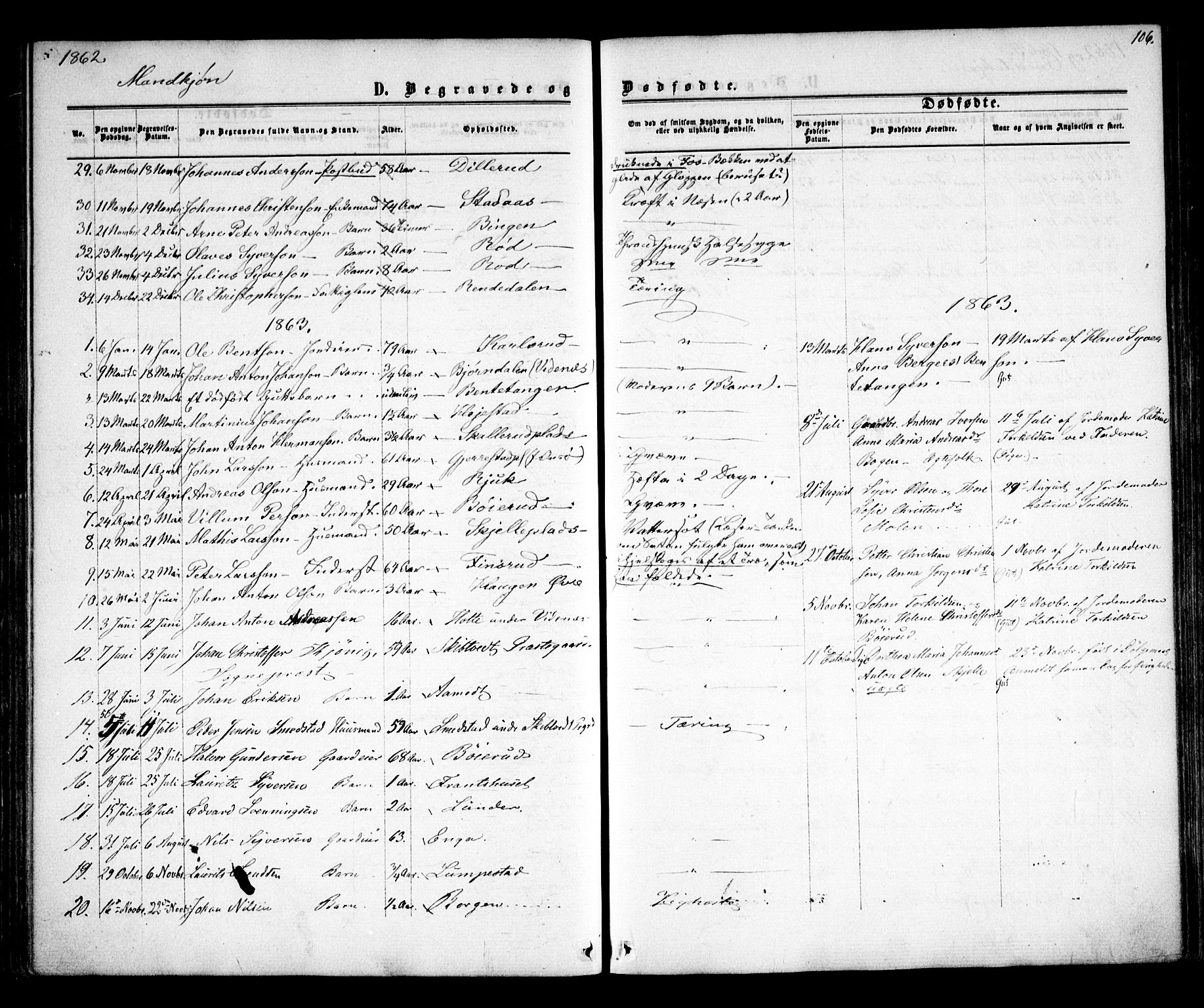 Skiptvet prestekontor Kirkebøker, AV/SAO-A-20009/F/Fa/L0007: Parish register (official) no. 7, 1861-1866, p. 106