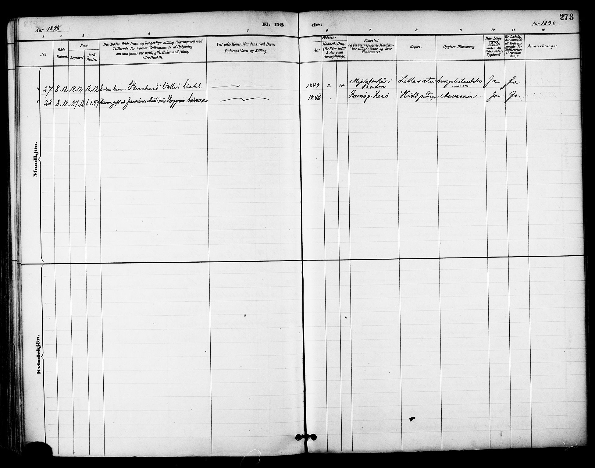 Ministerialprotokoller, klokkerbøker og fødselsregistre - Nordland, AV/SAT-A-1459/855/L0803: Parish register (official) no. 855A11, 1887-1905, p. 273