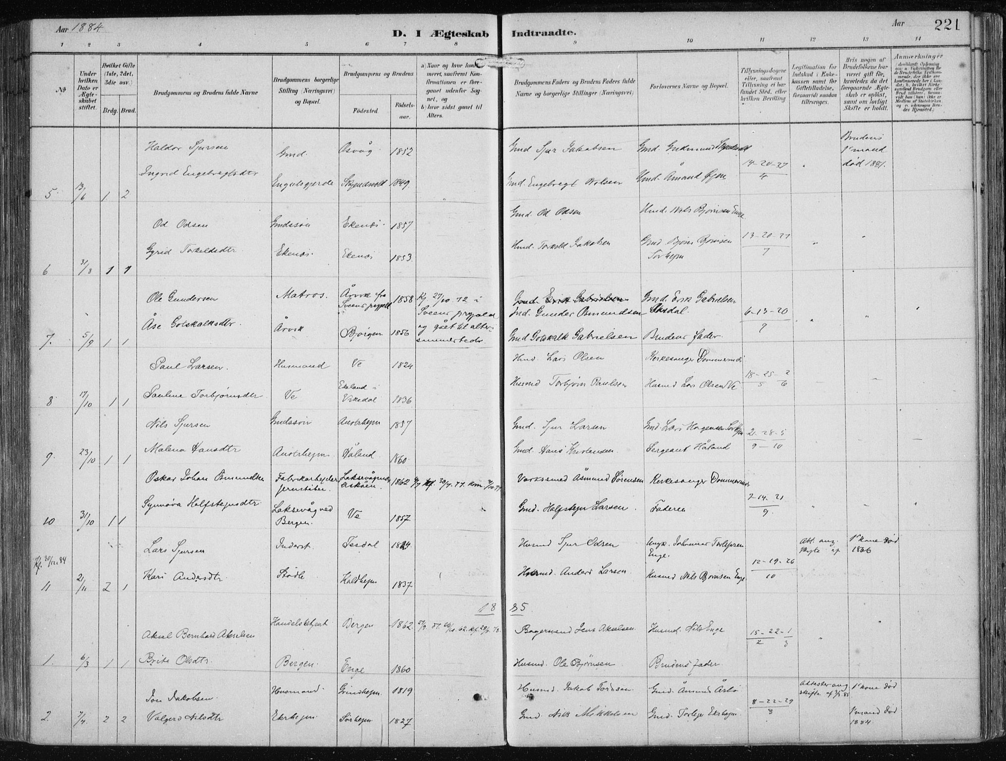 Etne sokneprestembete, AV/SAB-A-75001/H/Haa: Parish register (official) no. B  1, 1879-1919, p. 221