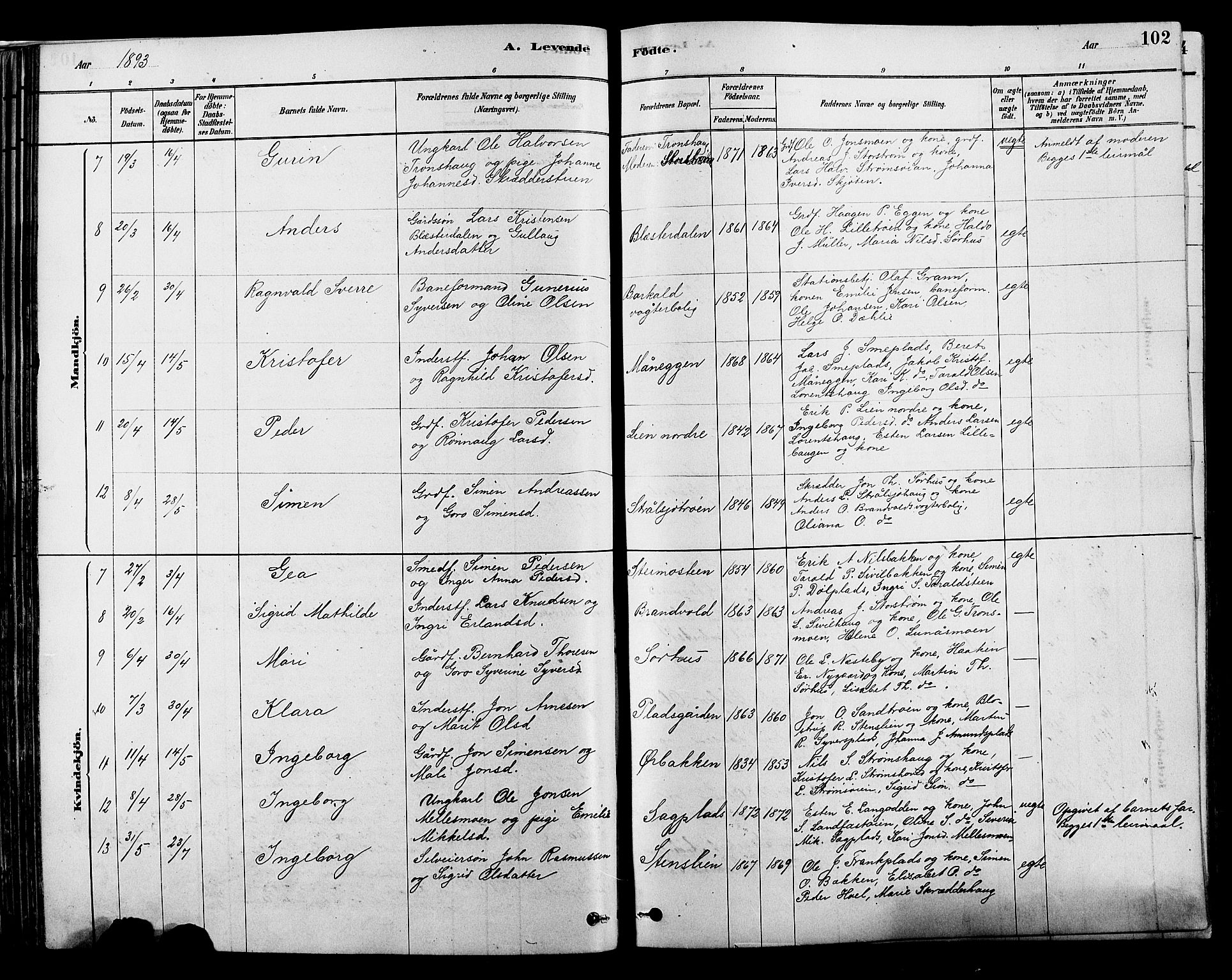 Alvdal prestekontor, SAH/PREST-060/H/Ha/Hab/L0003: Parish register (copy) no. 3, 1878-1907, p. 102