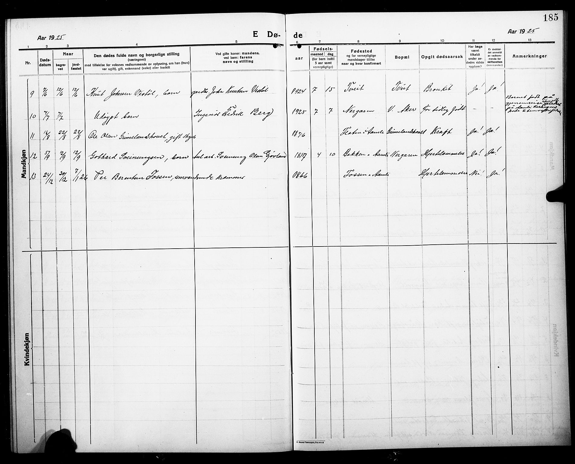 Åmli sokneprestkontor, AV/SAK-1111-0050/F/Fb/Fbc/L0006: Parish register (copy) no. B 6, 1915-1929, p. 185