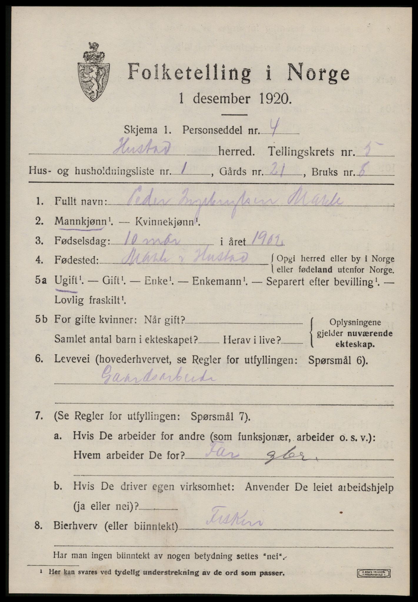 SAT, 1920 census for Hustad, 1920, p. 3595