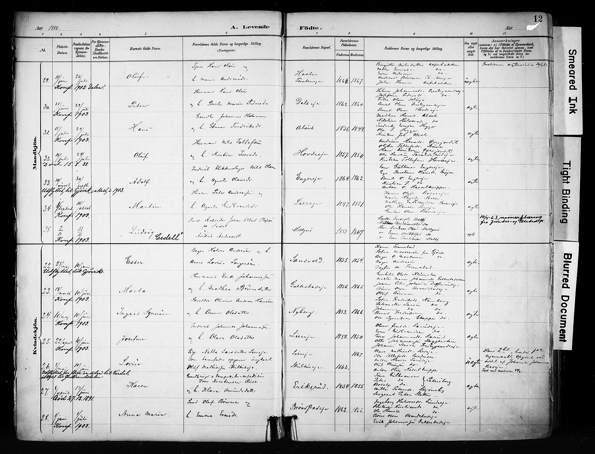 Biri prestekontor, SAH/PREST-096/H/Ha/Haa/L0009: Parish register (official) no. 9, 1887-1900, p. 12