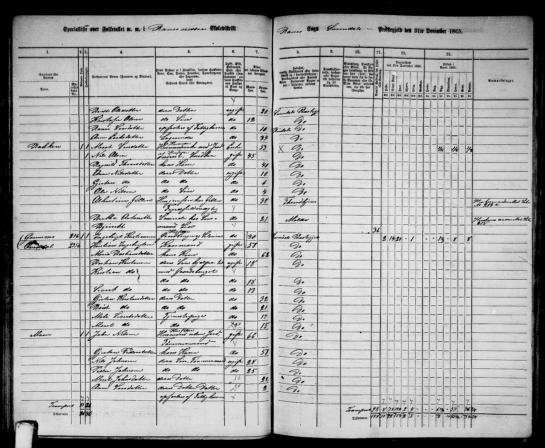 RA, 1865 census for Surnadal, 1865, p. 83