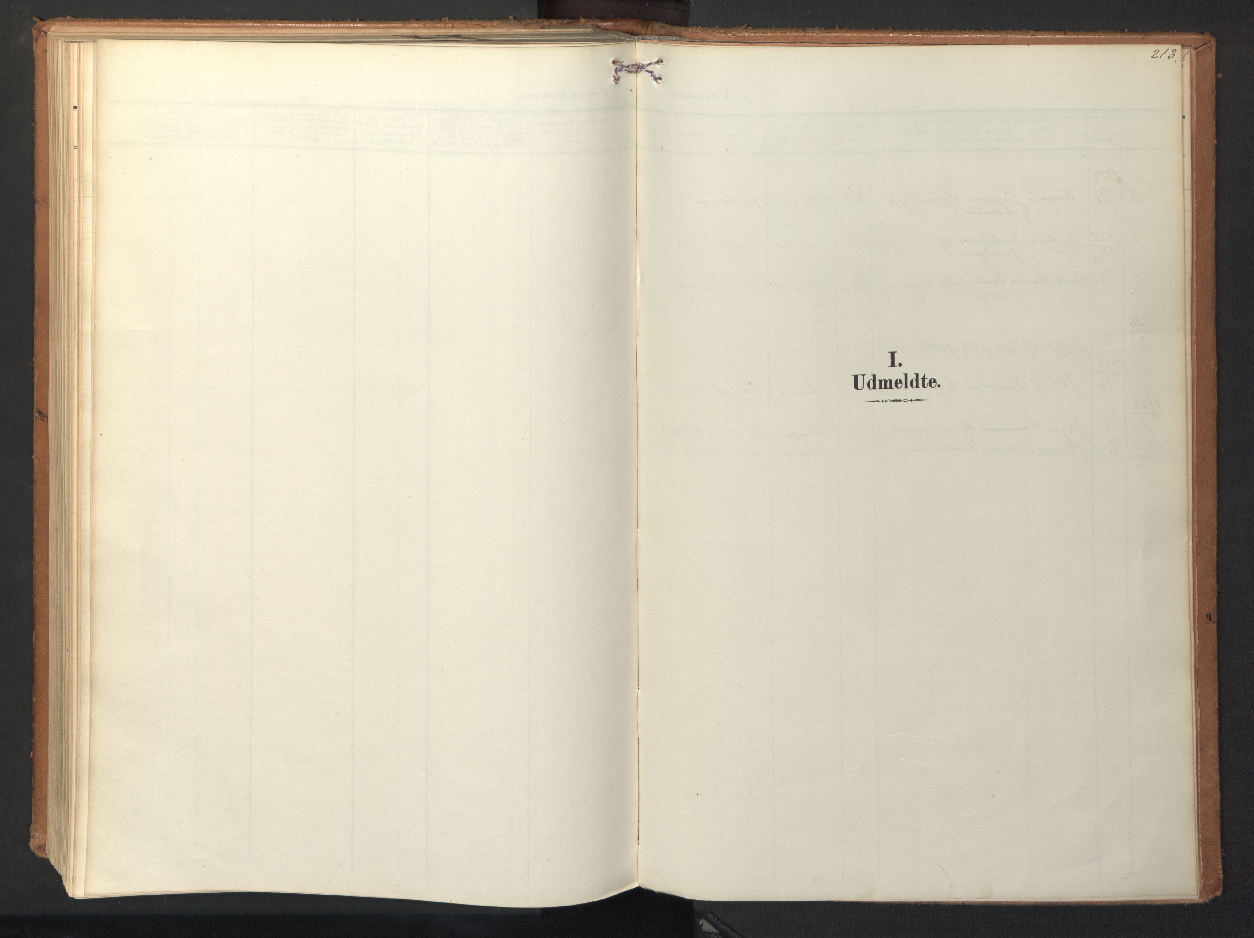 Ministerialprotokoller, klokkerbøker og fødselsregistre - Sør-Trøndelag, SAT/A-1456/694/L1128: Parish register (official) no. 694A02, 1906-1931, p. 213