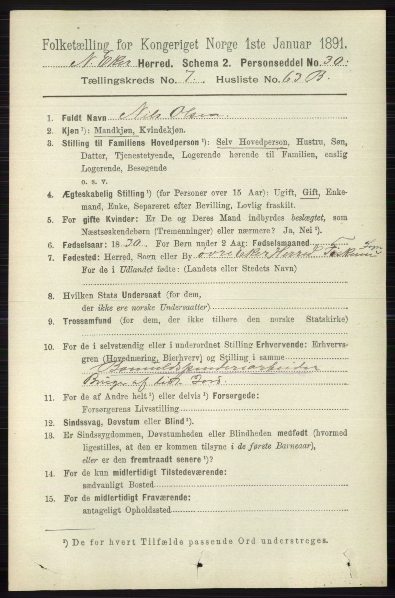 RA, 1891 census for 0625 Nedre Eiker, 1891, p. 3891