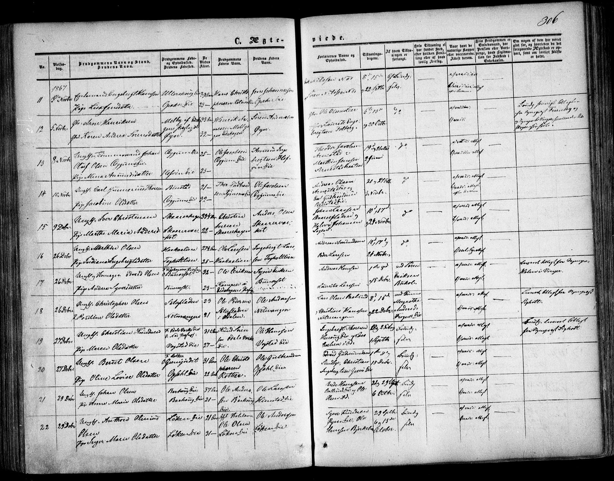 Nes prestekontor Kirkebøker, SAO/A-10410/F/Fa/L0008: Parish register (official) no. I 8, 1859-1874, p. 306