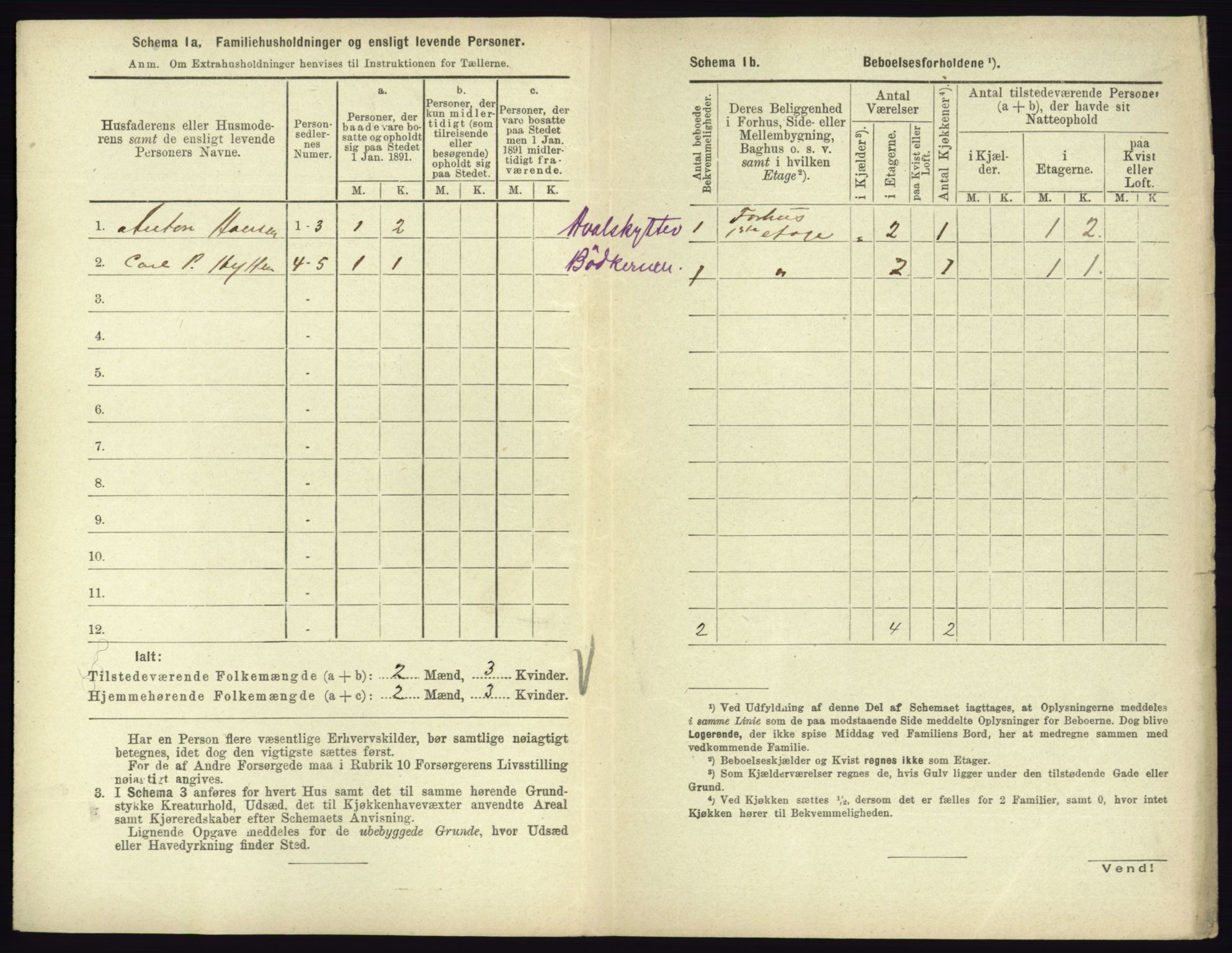 RA, 1891 census for 0705 Tønsberg, 1891, p. 1141