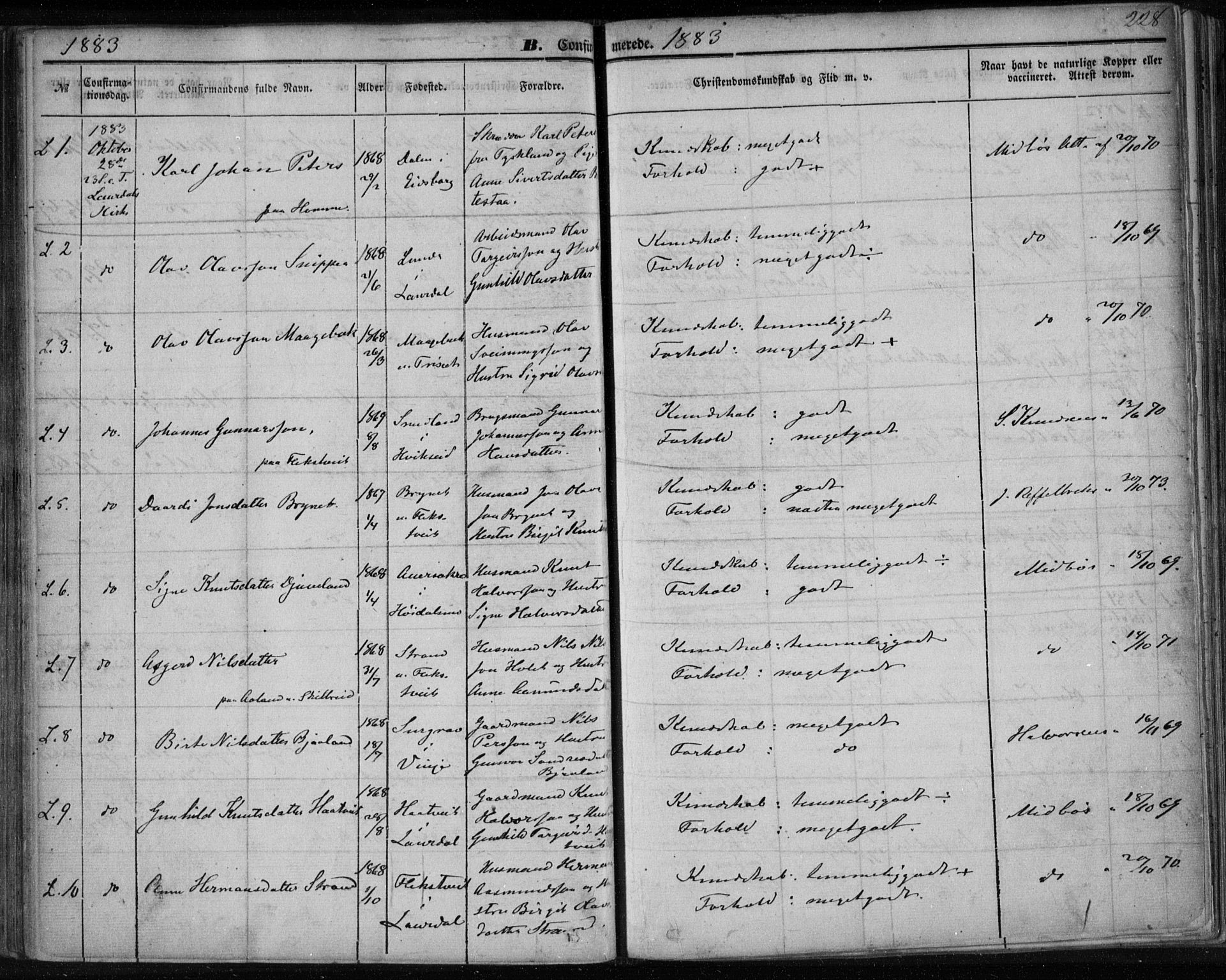 Lårdal kirkebøker, SAKO/A-284/F/Fa/L0006: Parish register (official) no. I 6, 1861-1886, p. 228