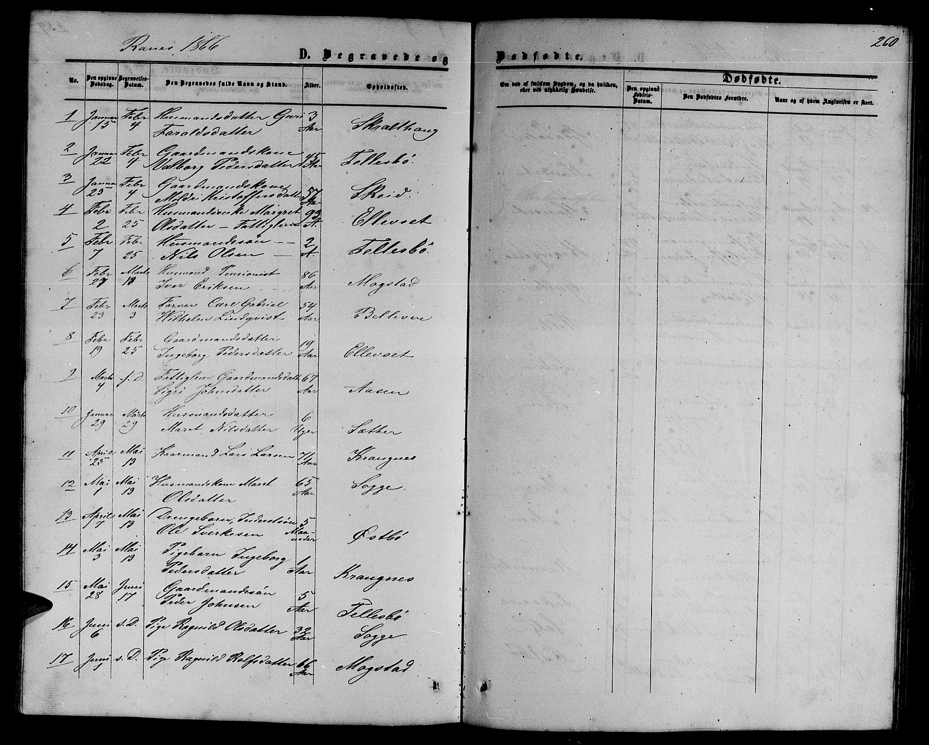 Ministerialprotokoller, klokkerbøker og fødselsregistre - Møre og Romsdal, SAT/A-1454/595/L1051: Parish register (copy) no. 595C03, 1866-1891, p. 260