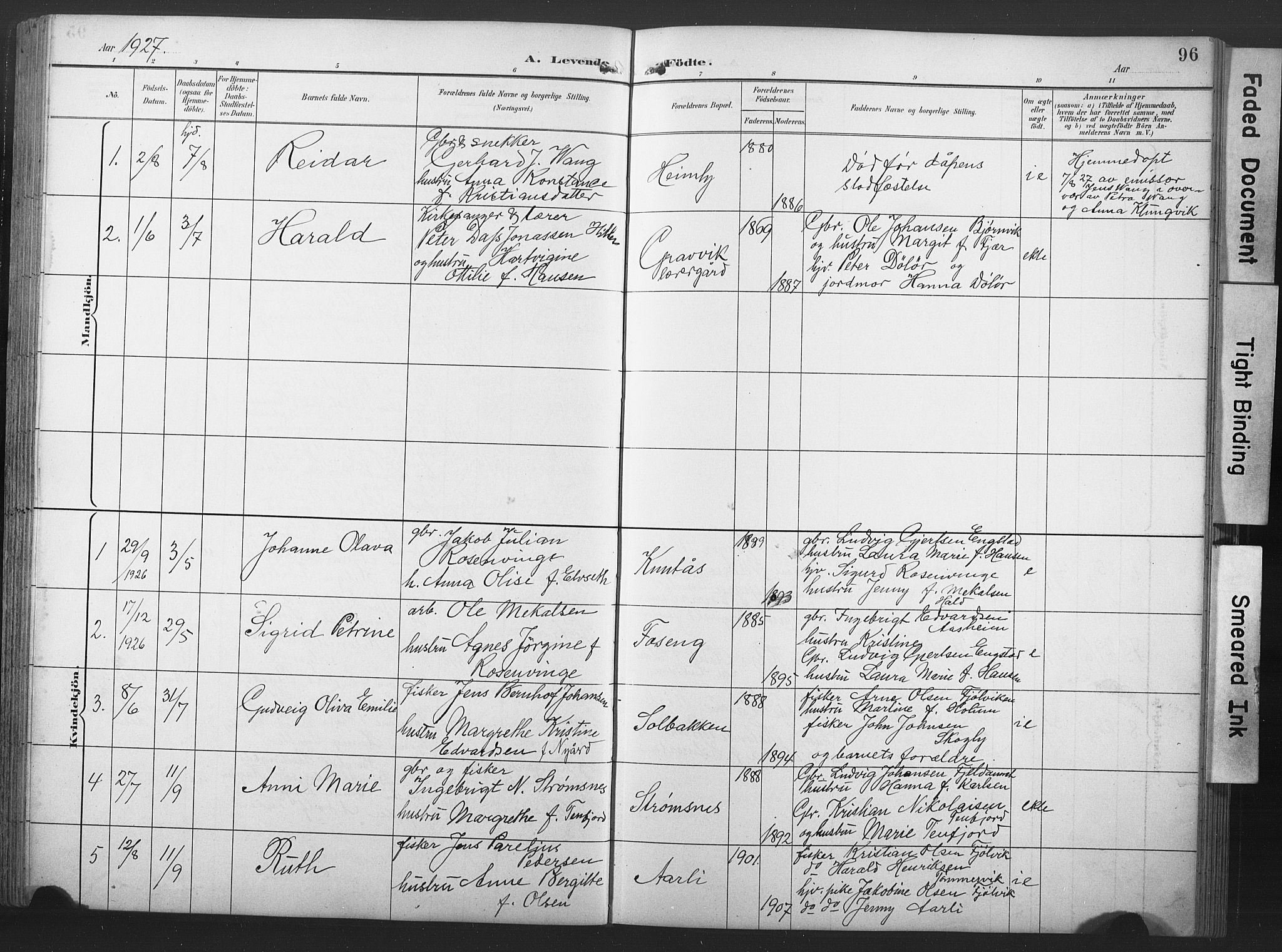 Ministerialprotokoller, klokkerbøker og fødselsregistre - Nord-Trøndelag, SAT/A-1458/789/L0706: Parish register (copy) no. 789C01, 1888-1931, p. 96
