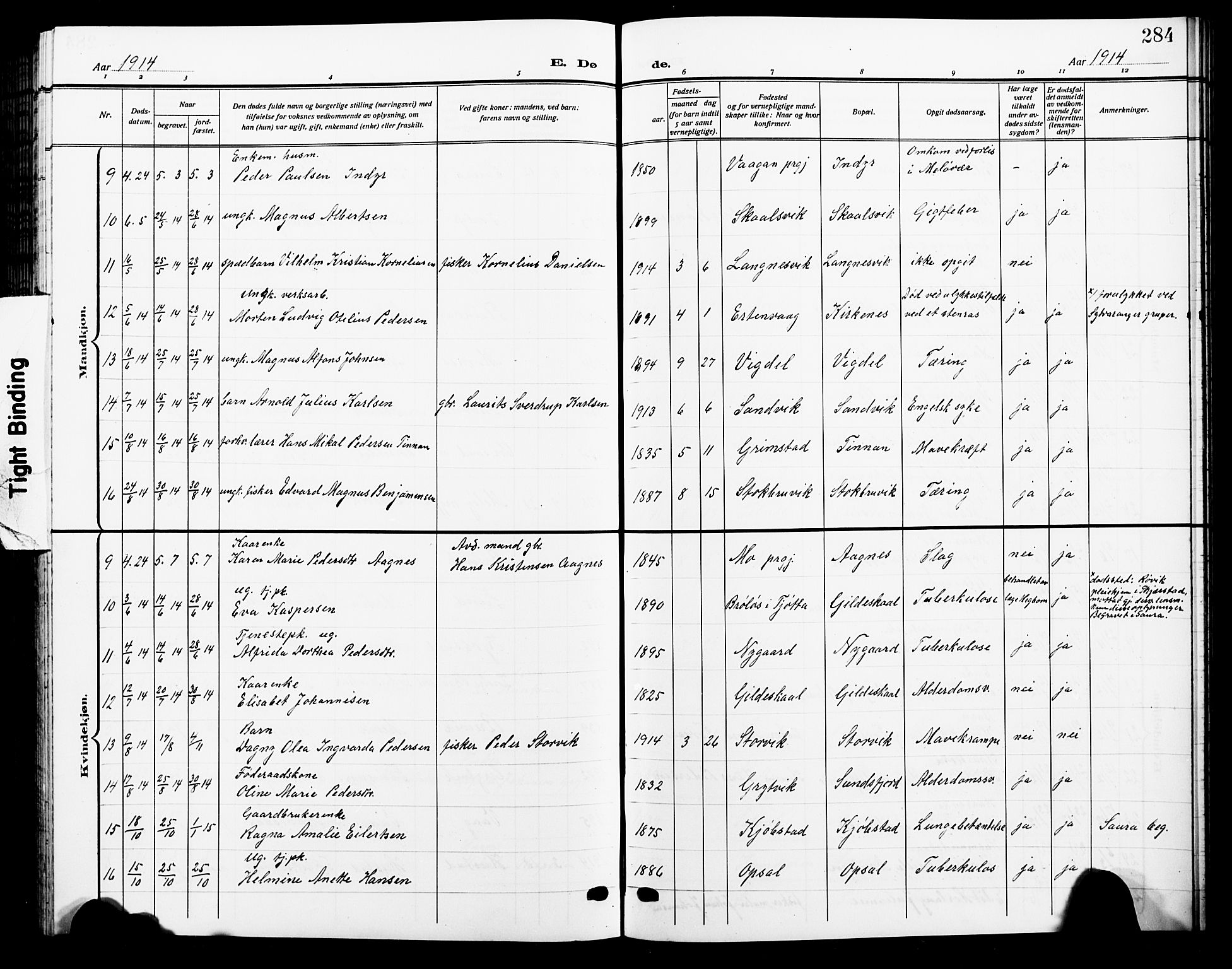 Ministerialprotokoller, klokkerbøker og fødselsregistre - Nordland, AV/SAT-A-1459/805/L0110: Parish register (copy) no. 805C06, 1909-1924, p. 284