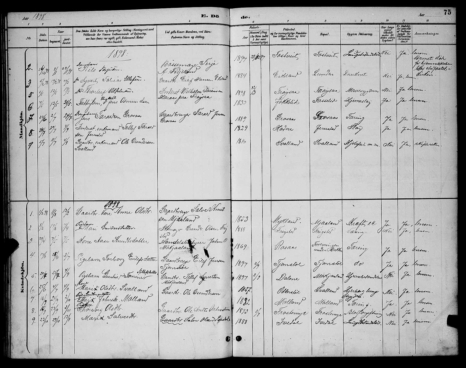 Evje sokneprestkontor, SAK/1111-0008/F/Fb/Fbc/L0004: Parish register (copy) no. B 4, 1890-1900, p. 75