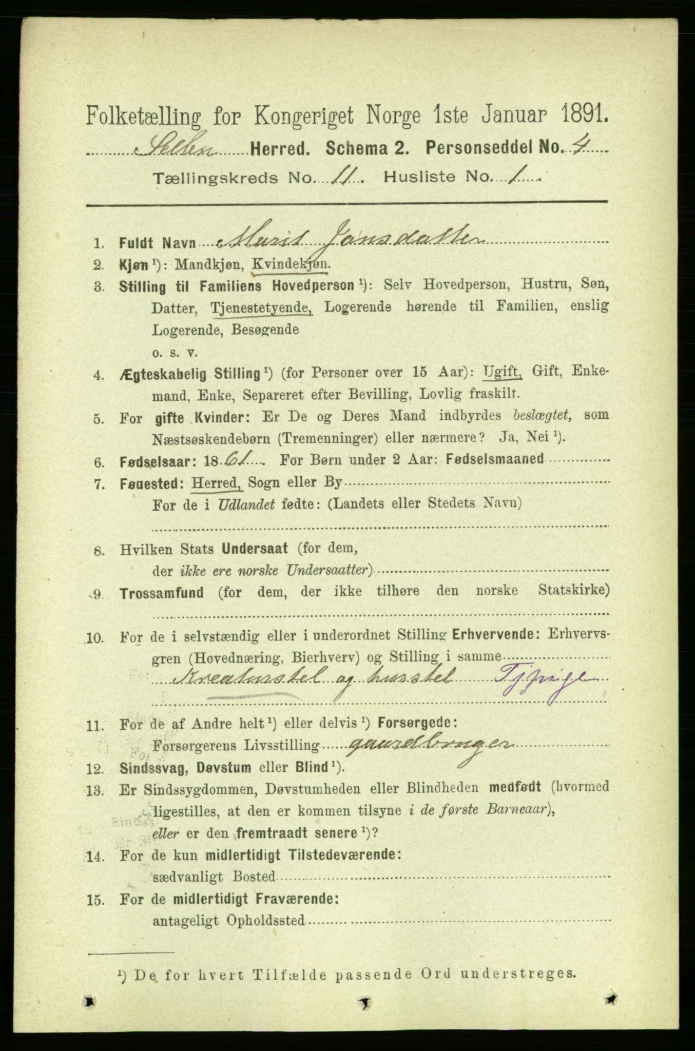 RA, 1891 census for 1664 Selbu, 1891, p. 4000