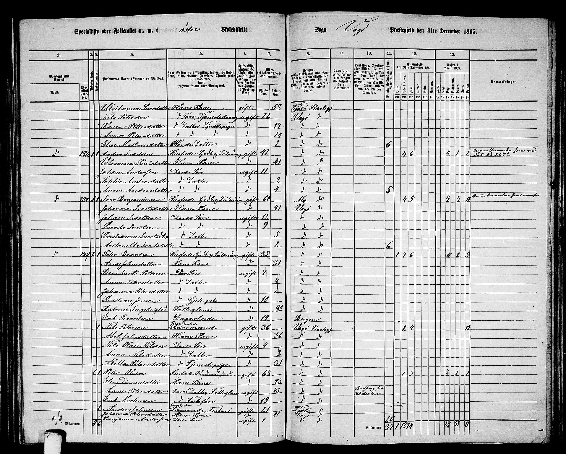 RA, 1865 census for Vega, 1865, p. 18