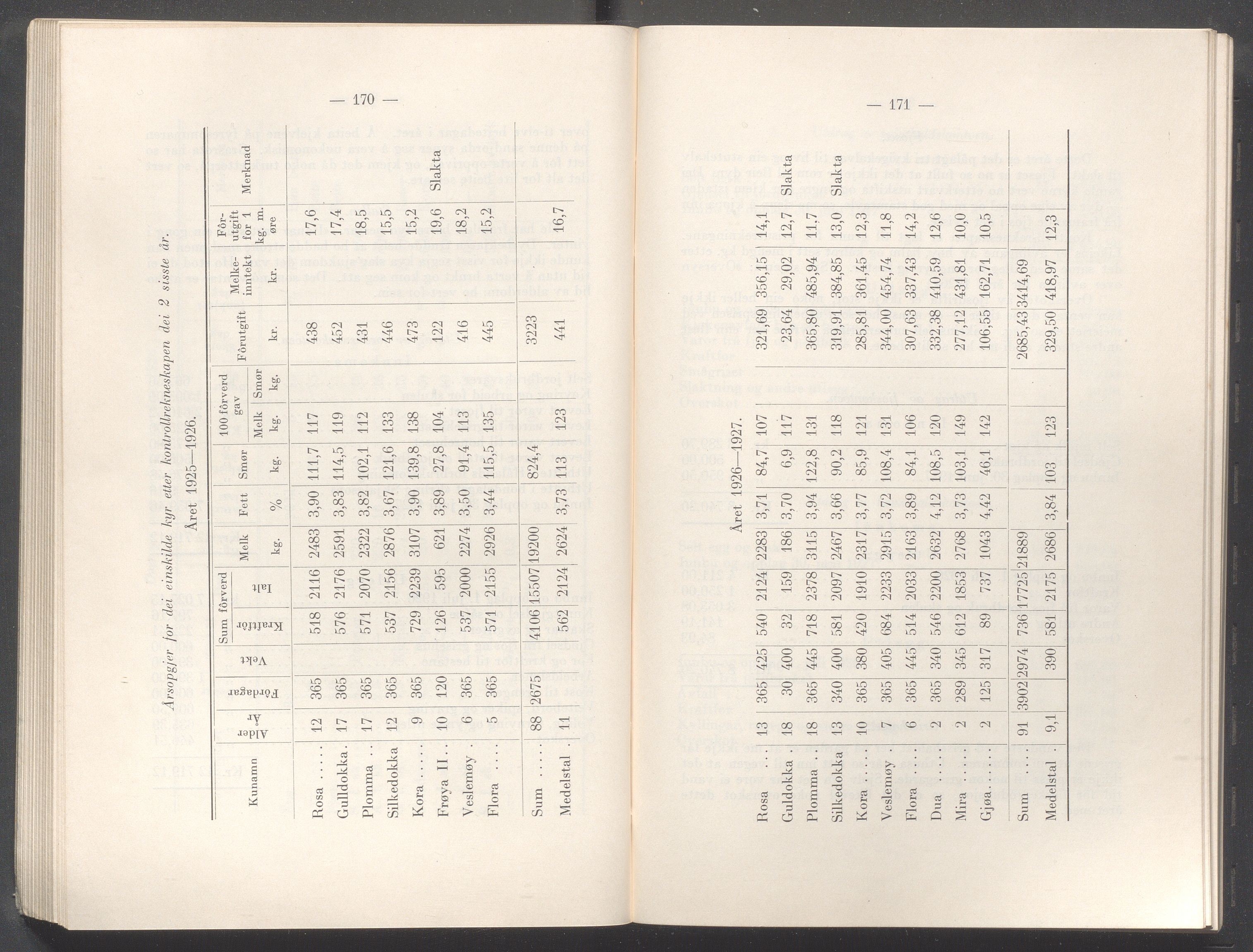 Rogaland fylkeskommune - Fylkesrådmannen , IKAR/A-900/A/Aa/Aaa/L0047: Møtebok , 1928, p. 170-171