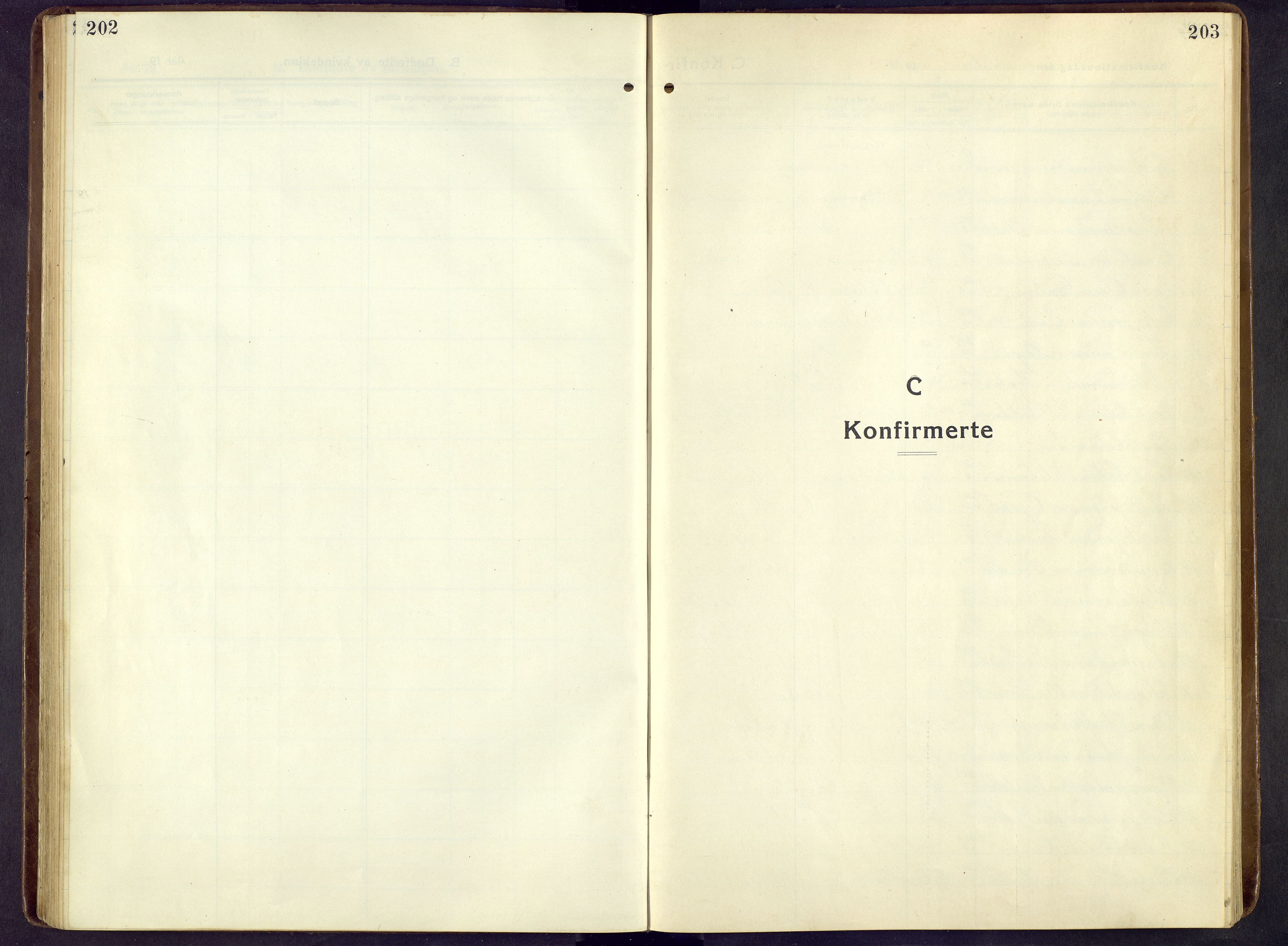 Nord-Fron prestekontor, SAH/PREST-080/H/Ha/Hab/L0009: Parish register (copy) no. 9, 1915-1958, p. 202-203