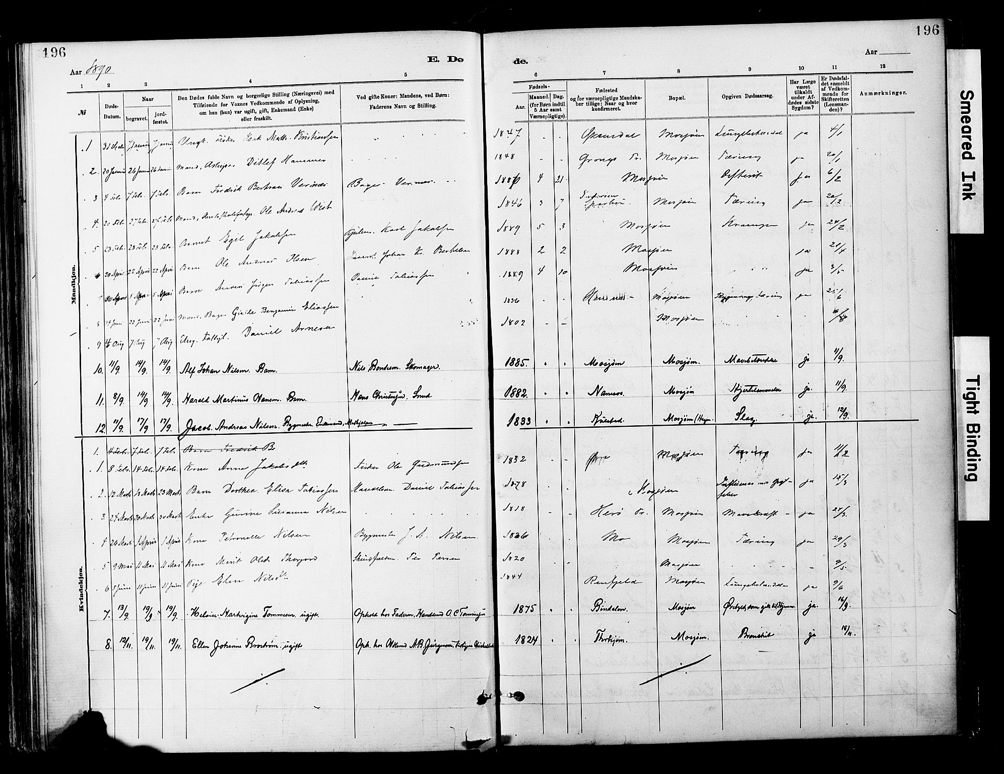 Ministerialprotokoller, klokkerbøker og fødselsregistre - Nordland, AV/SAT-A-1459/820/L0296: Parish register (official) no. 820A17, 1880-1903, p. 196