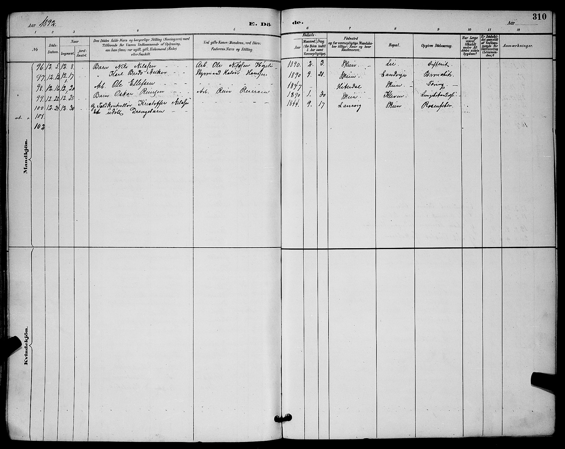 Skien kirkebøker, SAKO/A-302/G/Ga/L0007: Parish register (copy) no. 7, 1891-1900, p. 310