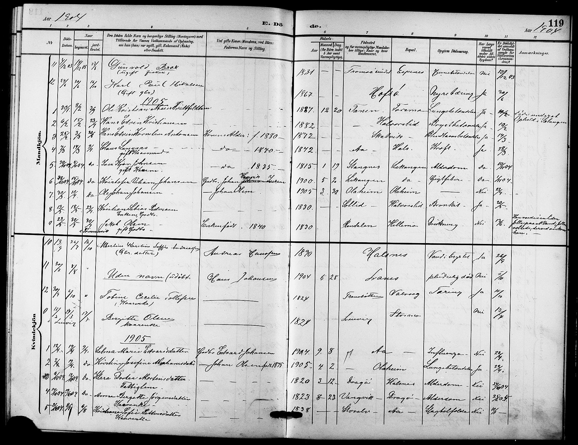 Tranøy sokneprestkontor, SATØ/S-1313/I/Ia/Iab/L0005klokker: Parish register (copy) no. 5, 1902-1919, p. 119