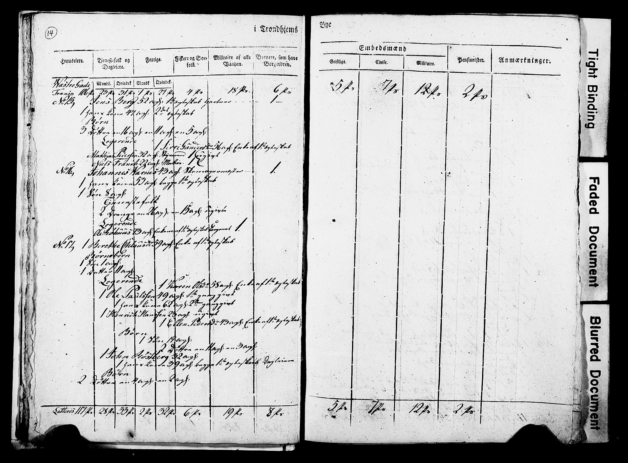 RA, Census 1815 for Trondheim, 1815, p. 13