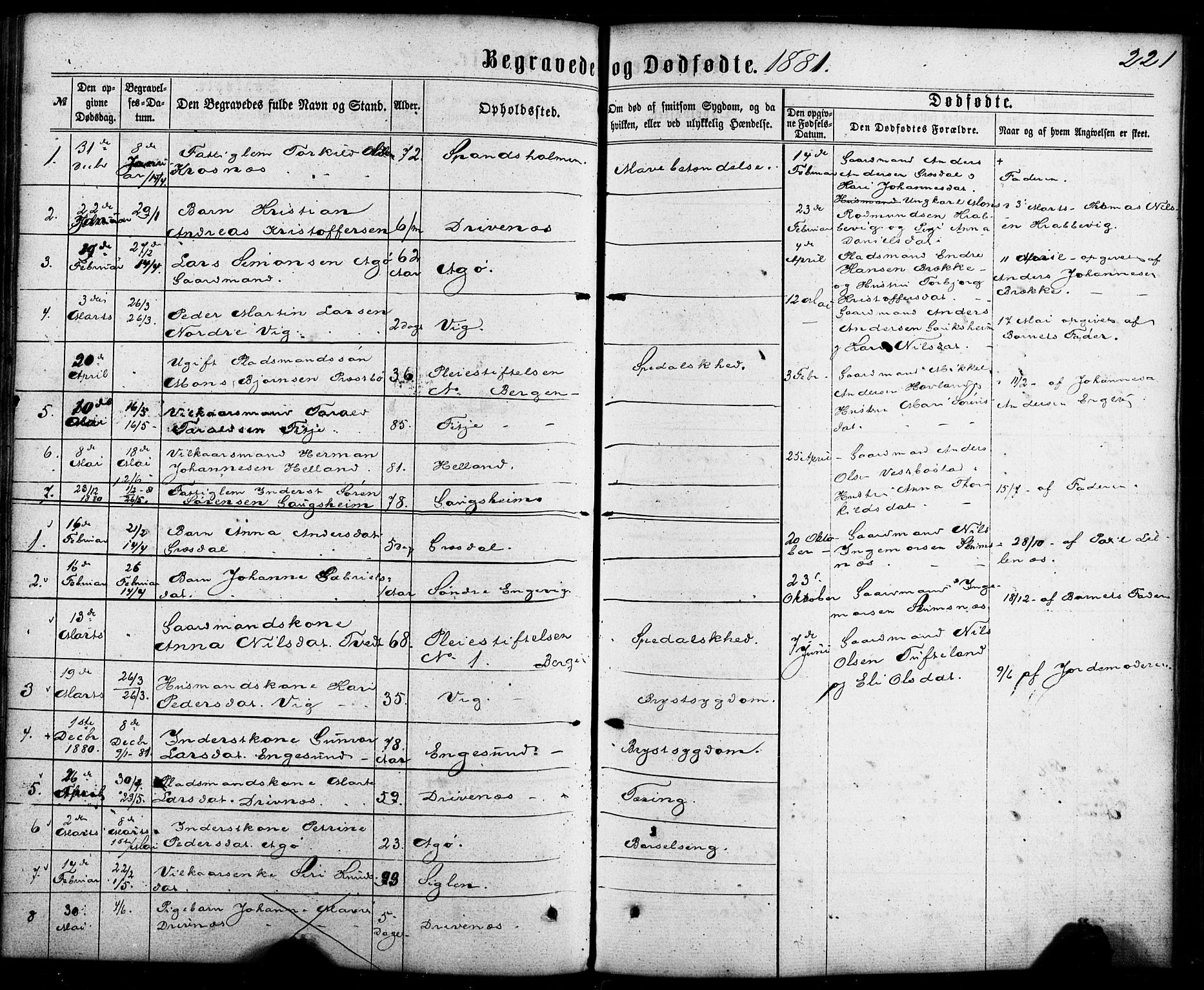 Fitjar sokneprestembete, SAB/A-99926: Parish register (official) no. A 1, 1862-1881, p. 221