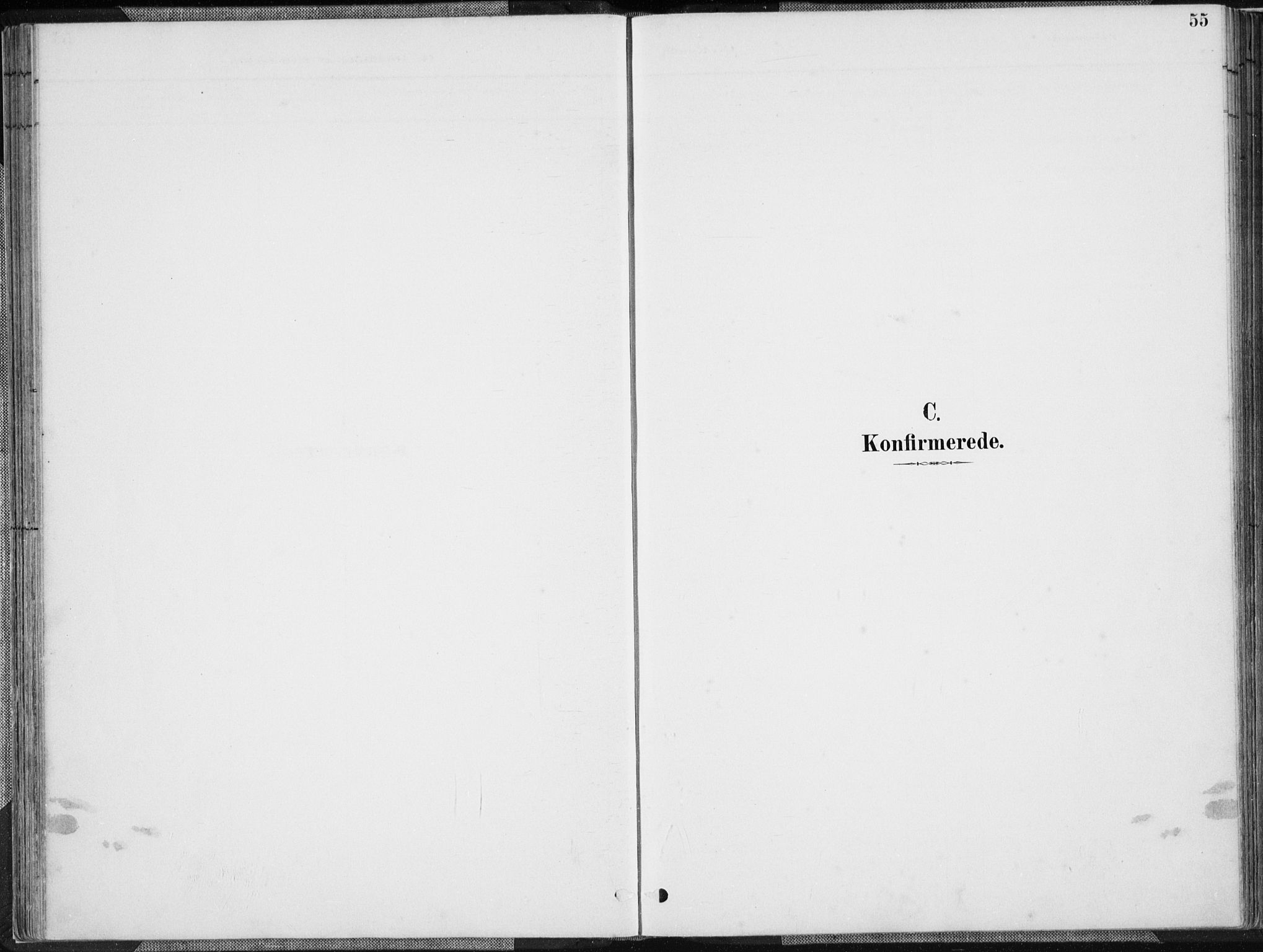 Herad sokneprestkontor, SAK/1111-0018/F/Fa/Faa/L0006: Parish register (official) no. A 6, 1887-1907, p. 55