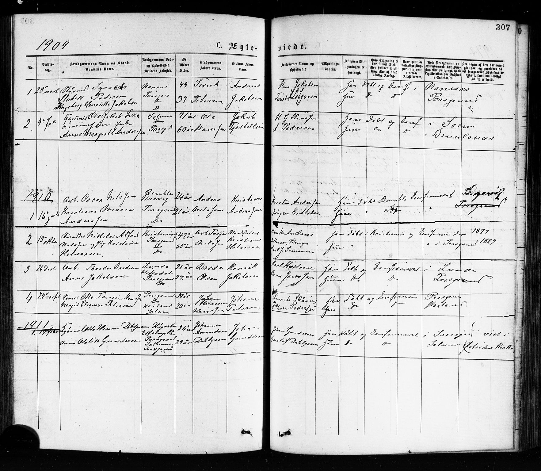 Porsgrunn kirkebøker , SAKO/A-104/G/Ga/L0003: Parish register (copy) no. I 3, 1877-1915, p. 307