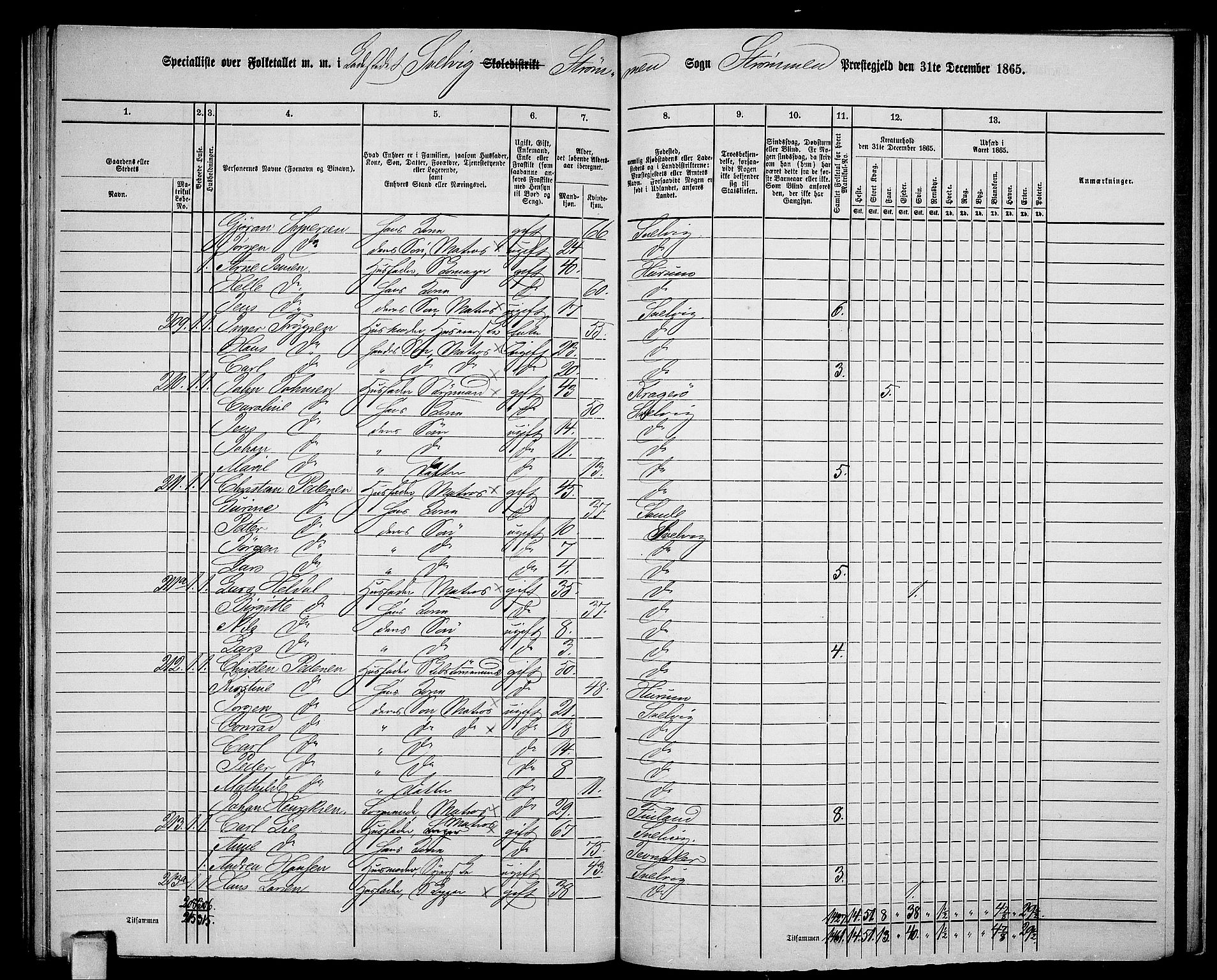 RA, 1865 census for Strømm, 1865, p. 111