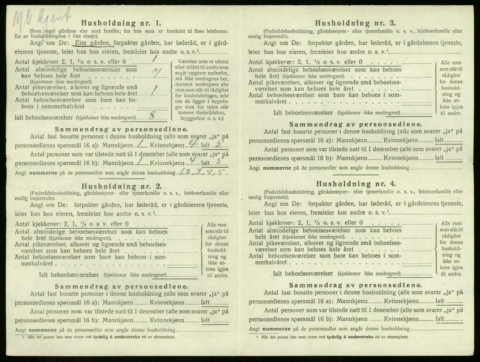 SAKO, 1920 census for Botne, 1920, p. 379