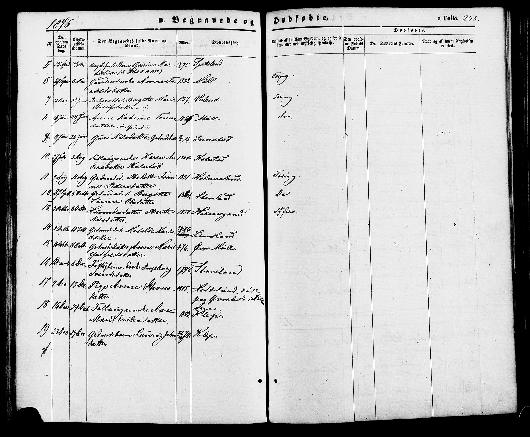 Holum sokneprestkontor, AV/SAK-1111-0022/F/Fa/Faa/L0006: Parish register (official) no. A 6, 1865-1883, p. 258