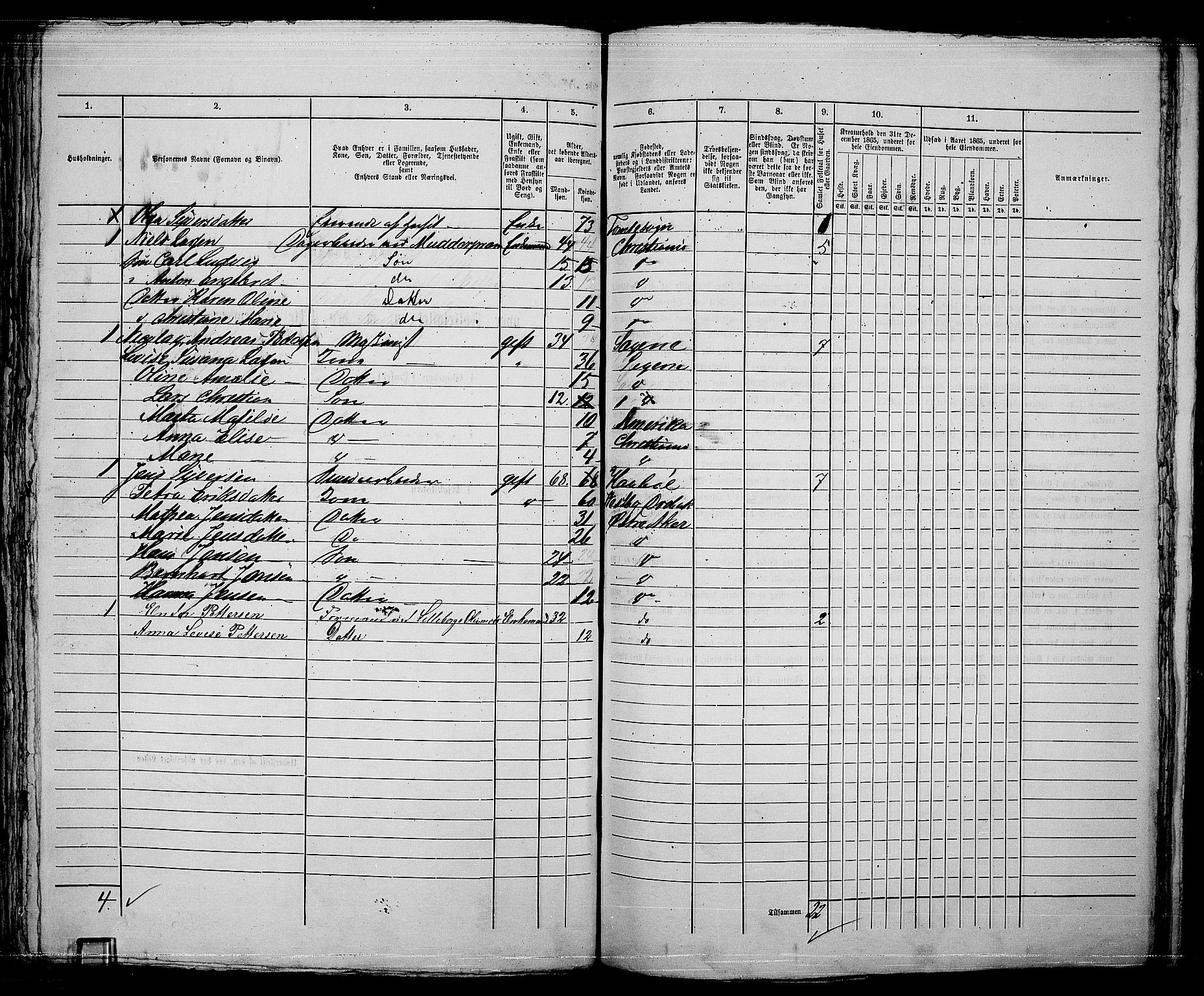 RA, 1865 census for Kristiania, 1865, p. 4696