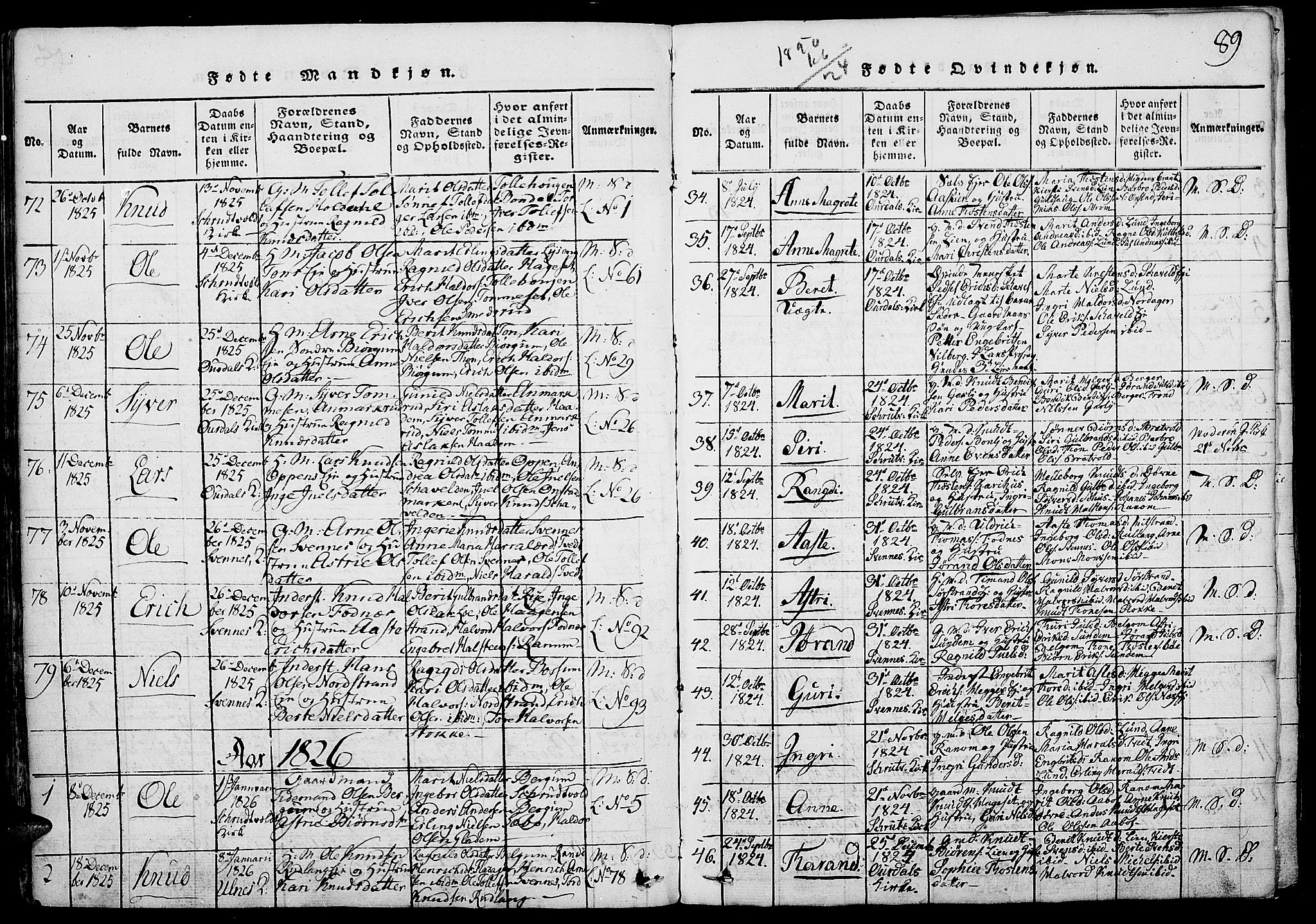 Nord-Aurdal prestekontor, SAH/PREST-132/H/Ha/Haa/L0002: Parish register (official) no. 2, 1816-1828, p. 89