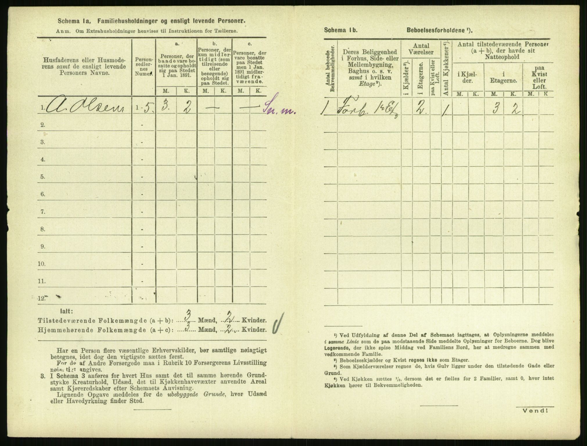 RA, 1891 census for 0707 Larvik, 1891, p. 696