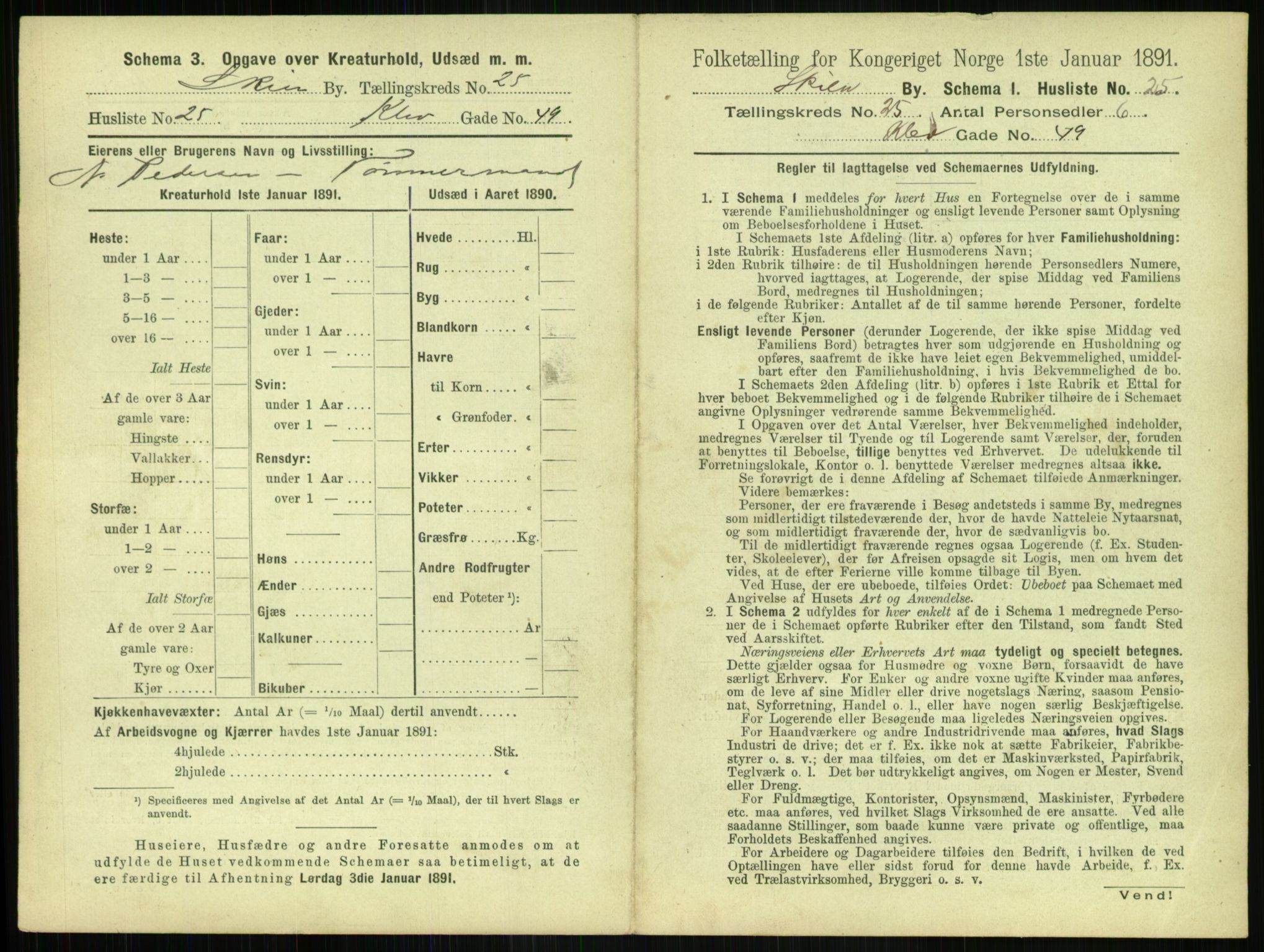 RA, 1891 census for 0806 Skien, 1891, p. 968