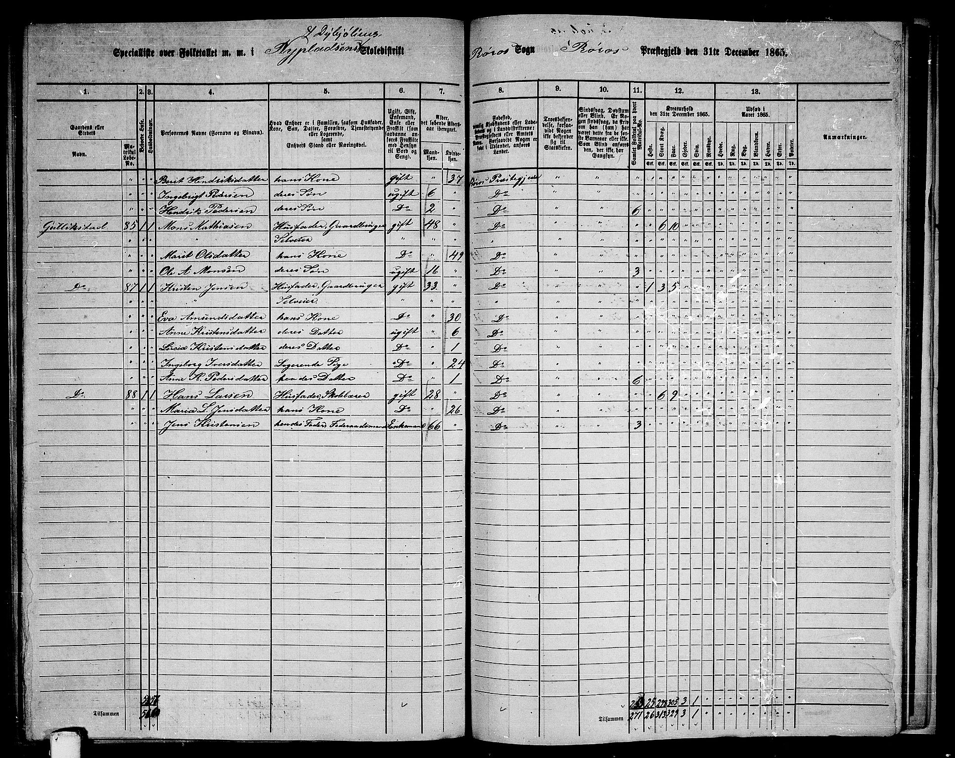 RA, 1865 census for Røros, 1865, p. 146