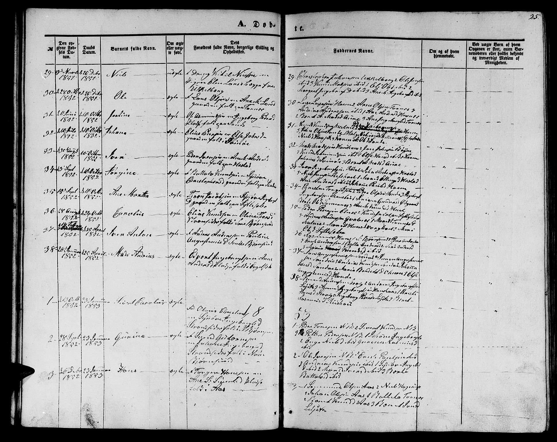 Ministerialprotokoller, klokkerbøker og fødselsregistre - Møre og Romsdal, SAT/A-1454/565/L0753: Parish register (copy) no. 565C02, 1845-1870, p. 25