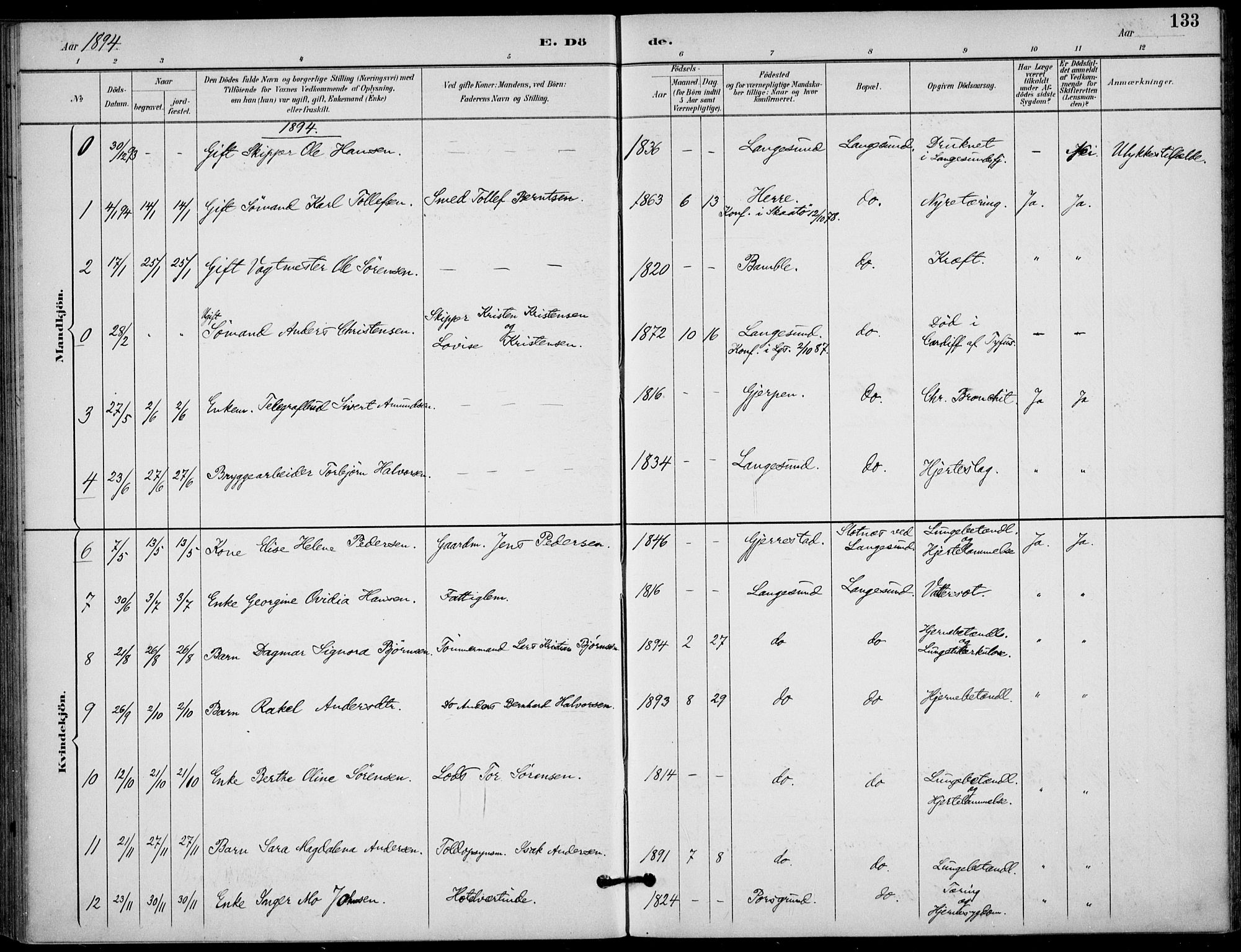 Langesund kirkebøker, SAKO/A-280/F/Fa/L0003: Parish register (official) no. 3, 1893-1907, p. 133